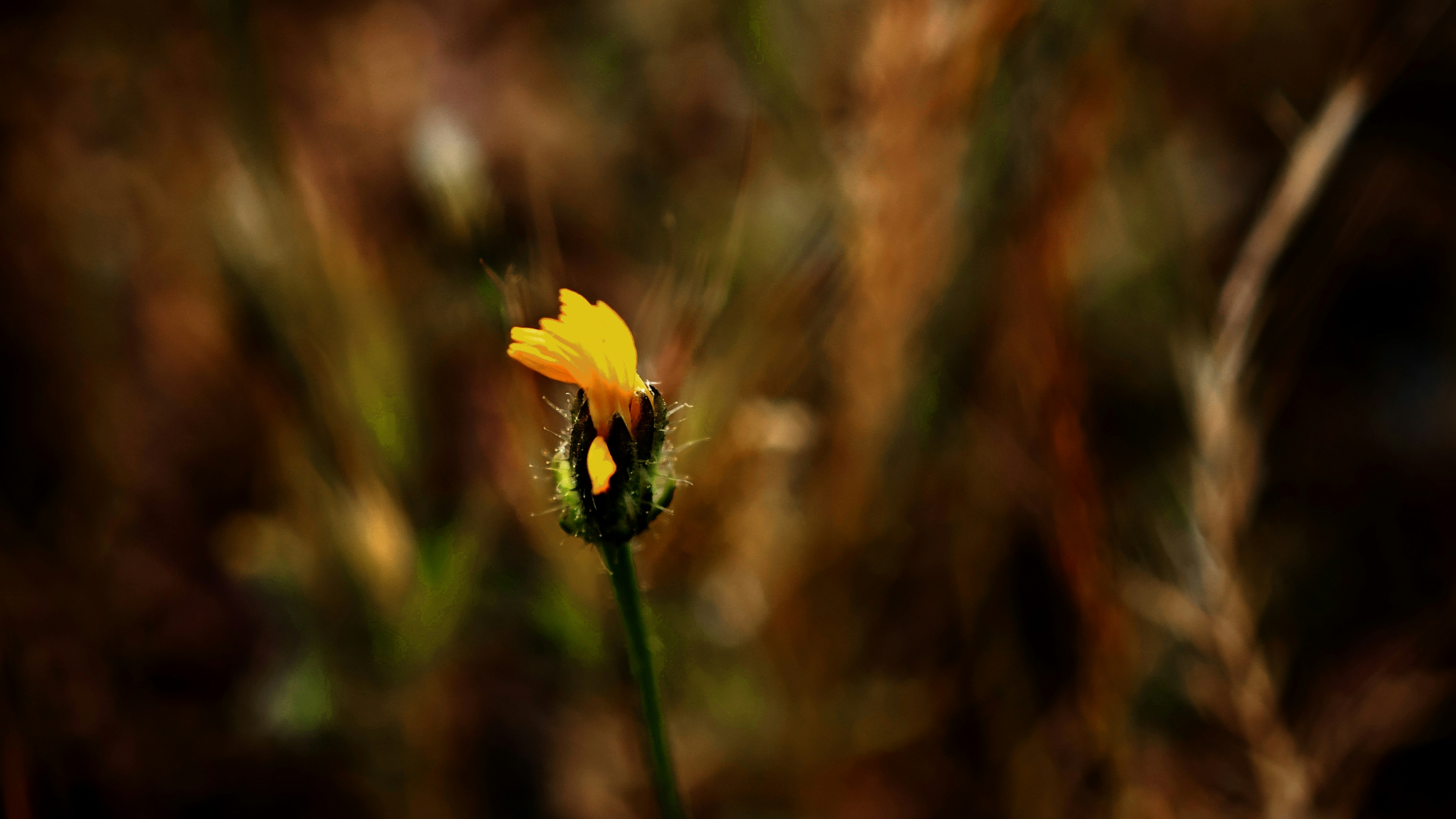 Photo by zrngngharib