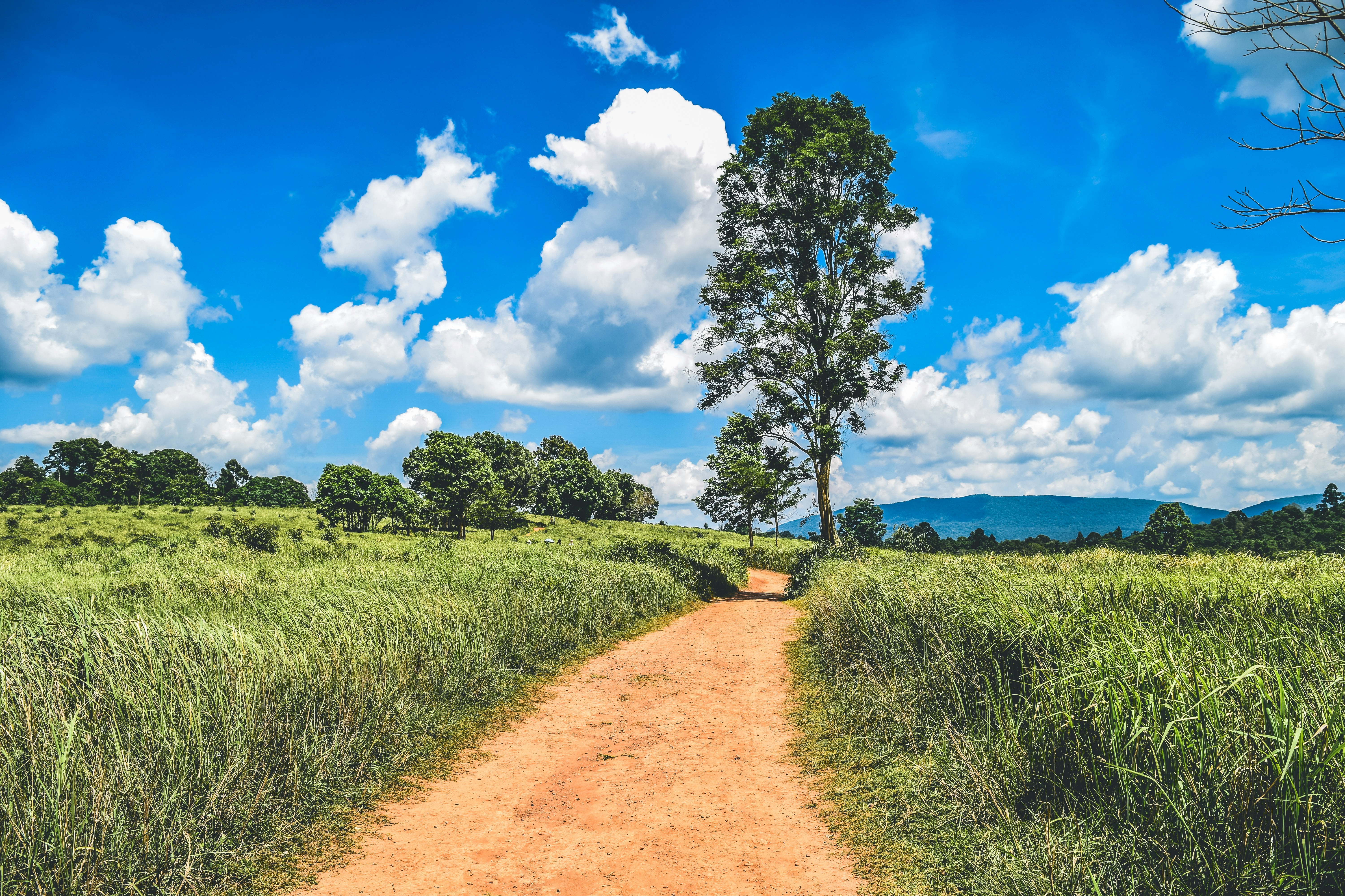 Countryside walkway.