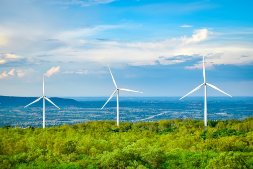 Wind turbines generate clean energy on a grassy hill.