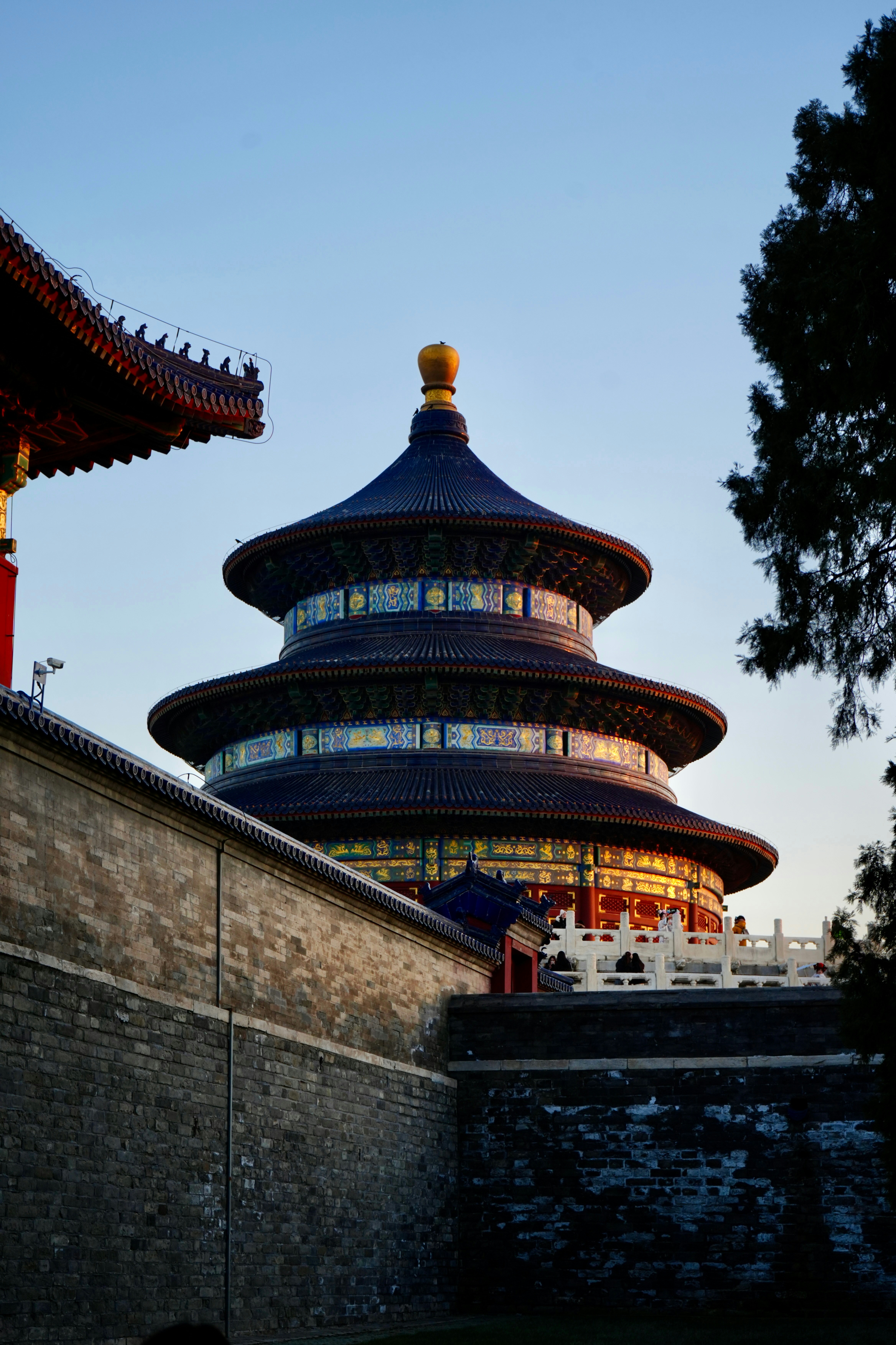 Photo by trinityliu0716