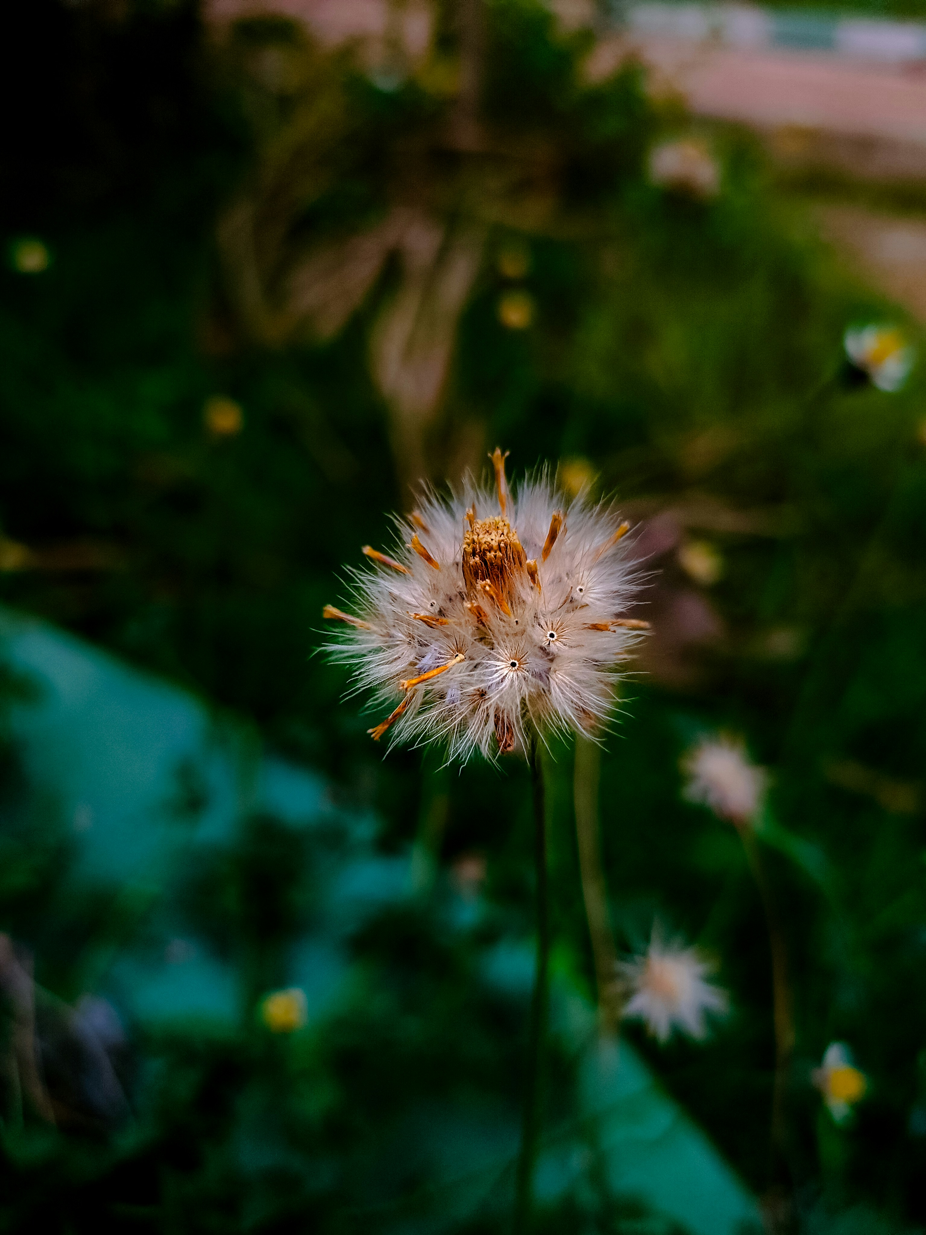 Photo by shhubh_sagar