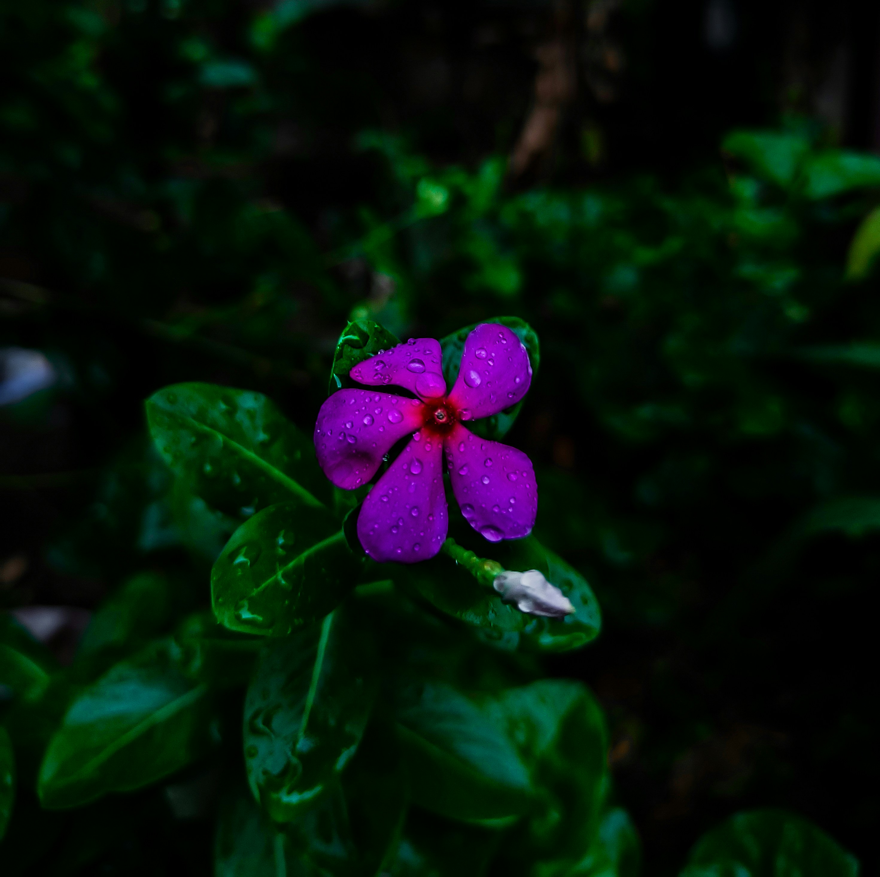 Photo by shhubh_sagar