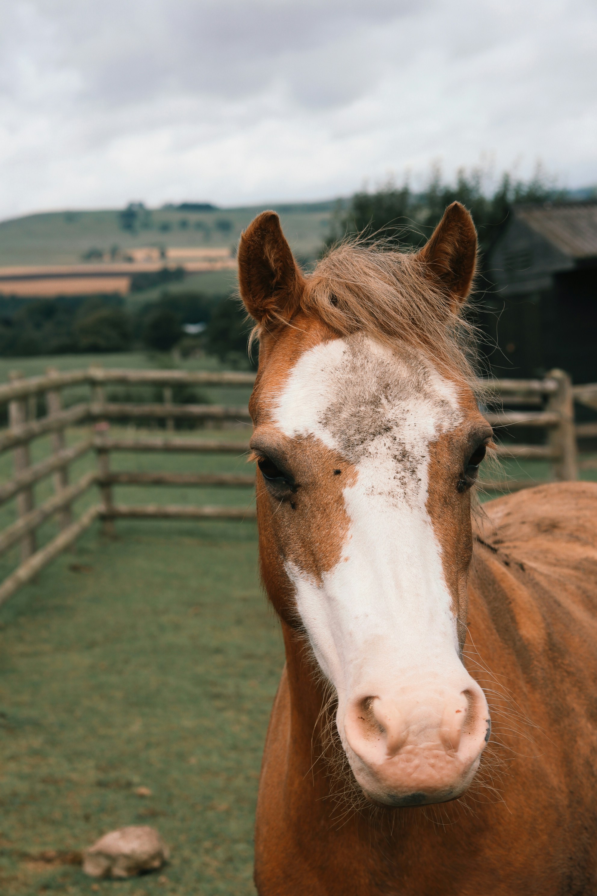 Photo by mynameisged