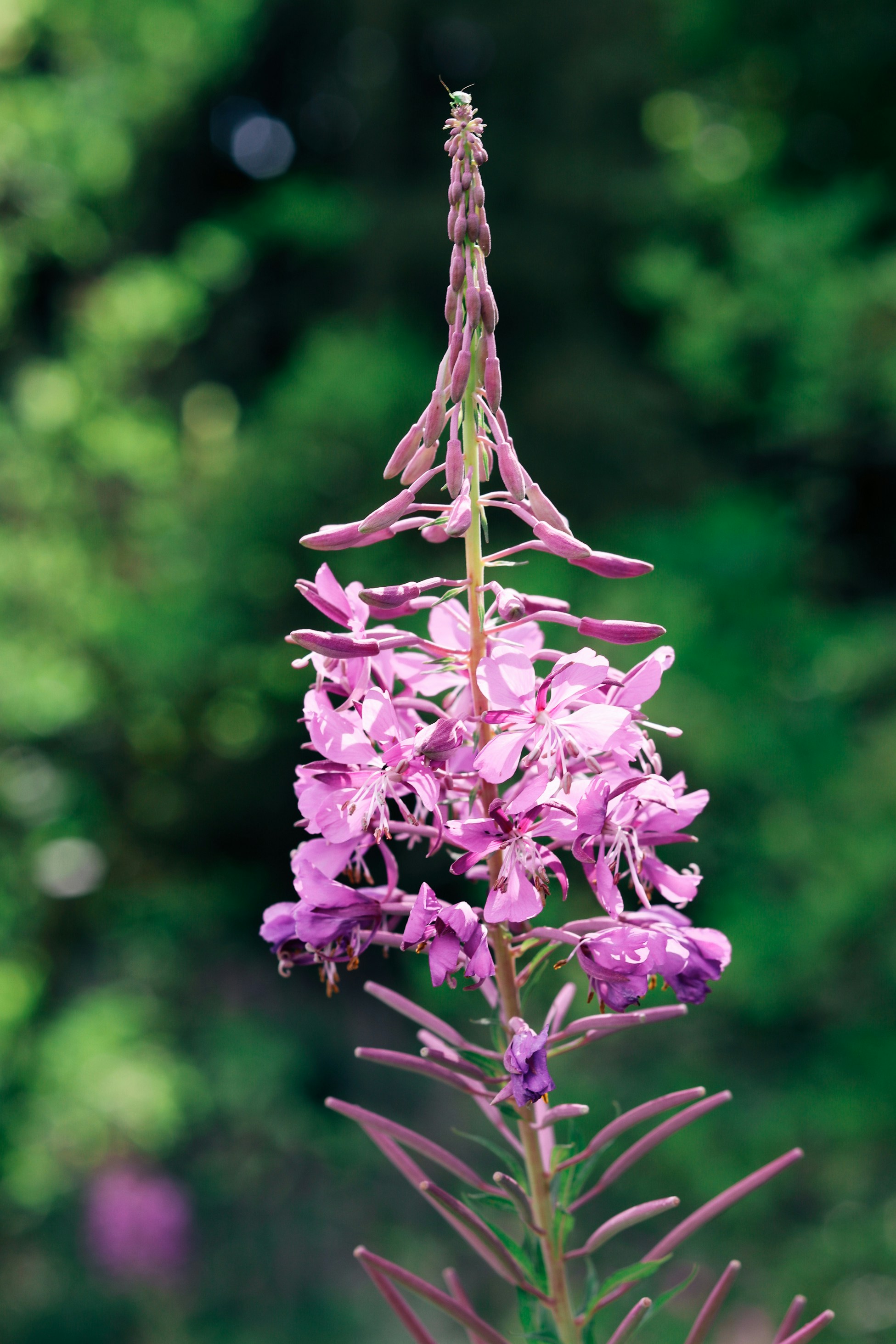 Photo by mynameisged