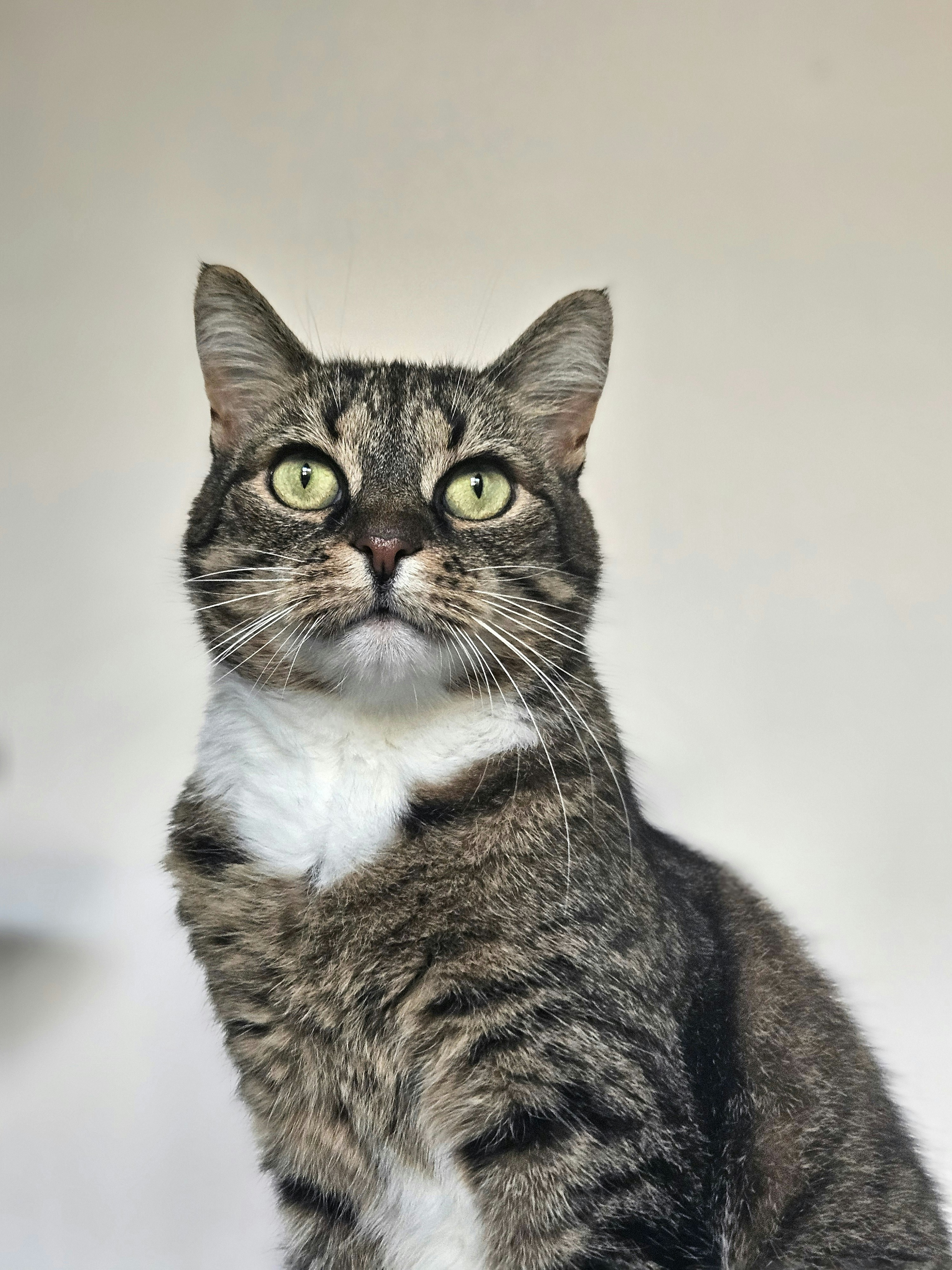 Photo by marjorylucabaxter