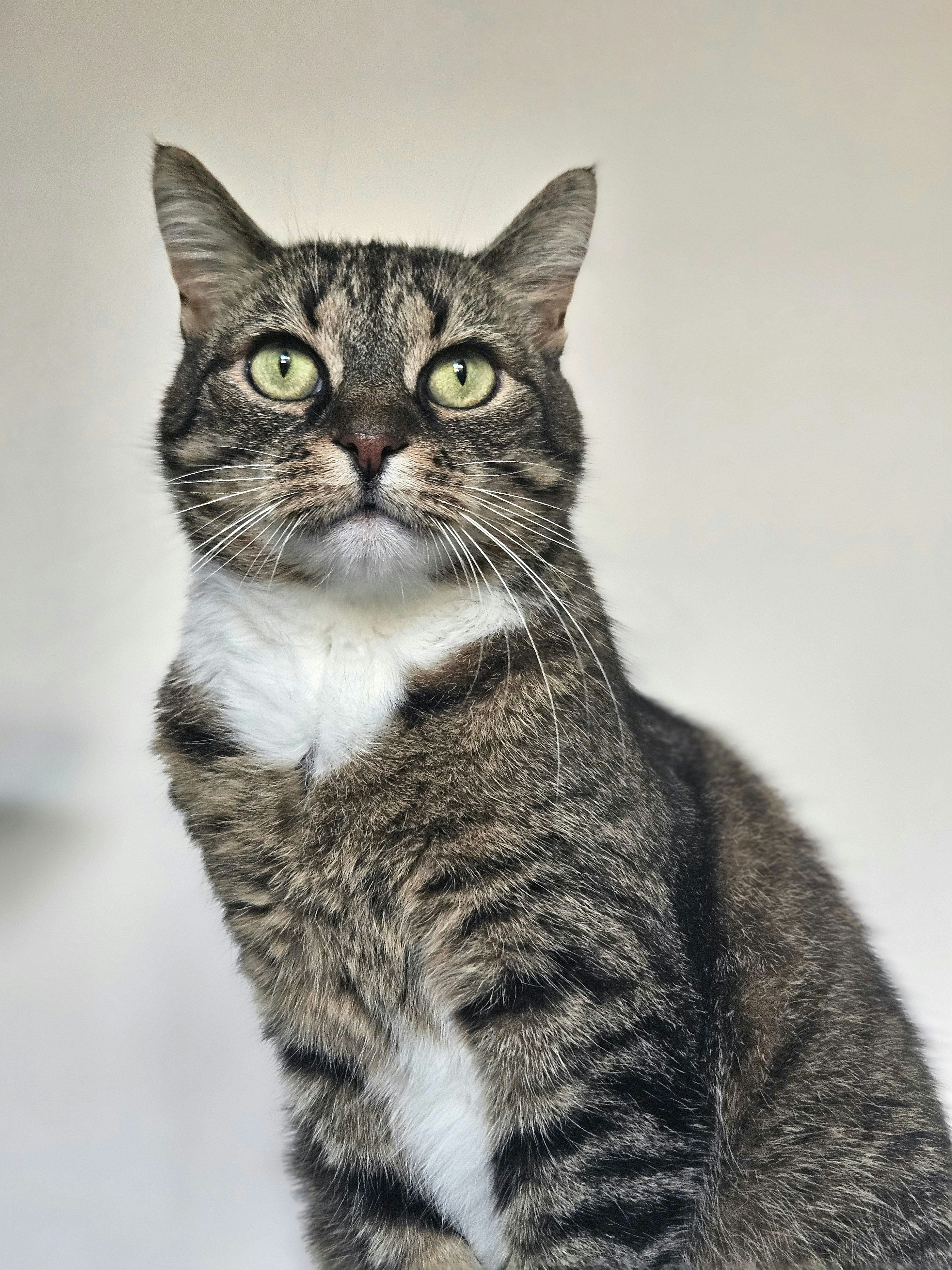 Photo by marjorylucabaxter