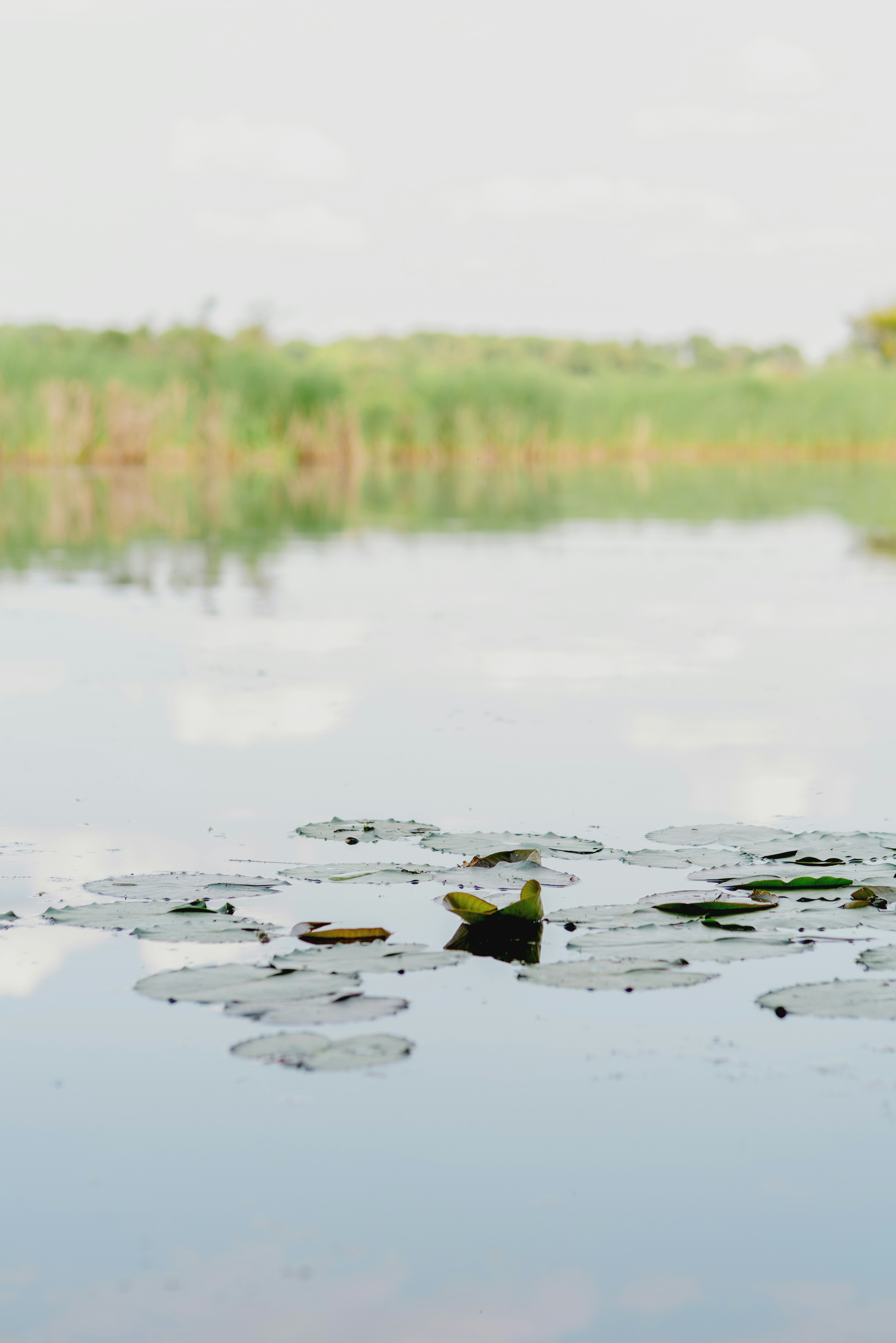 Photo by eugenivy_now