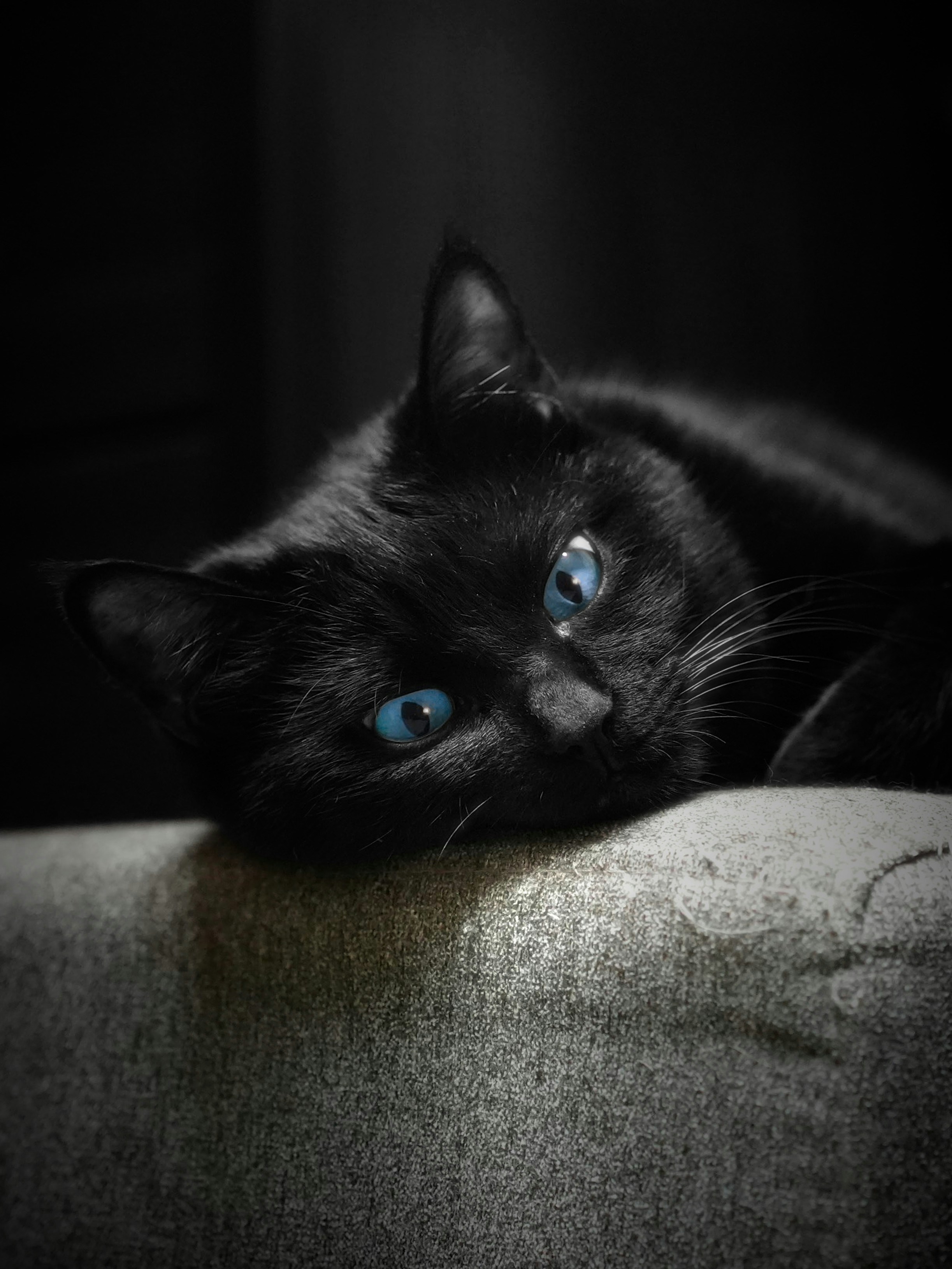 Elegant Yet Humble (image credits: unsplash)