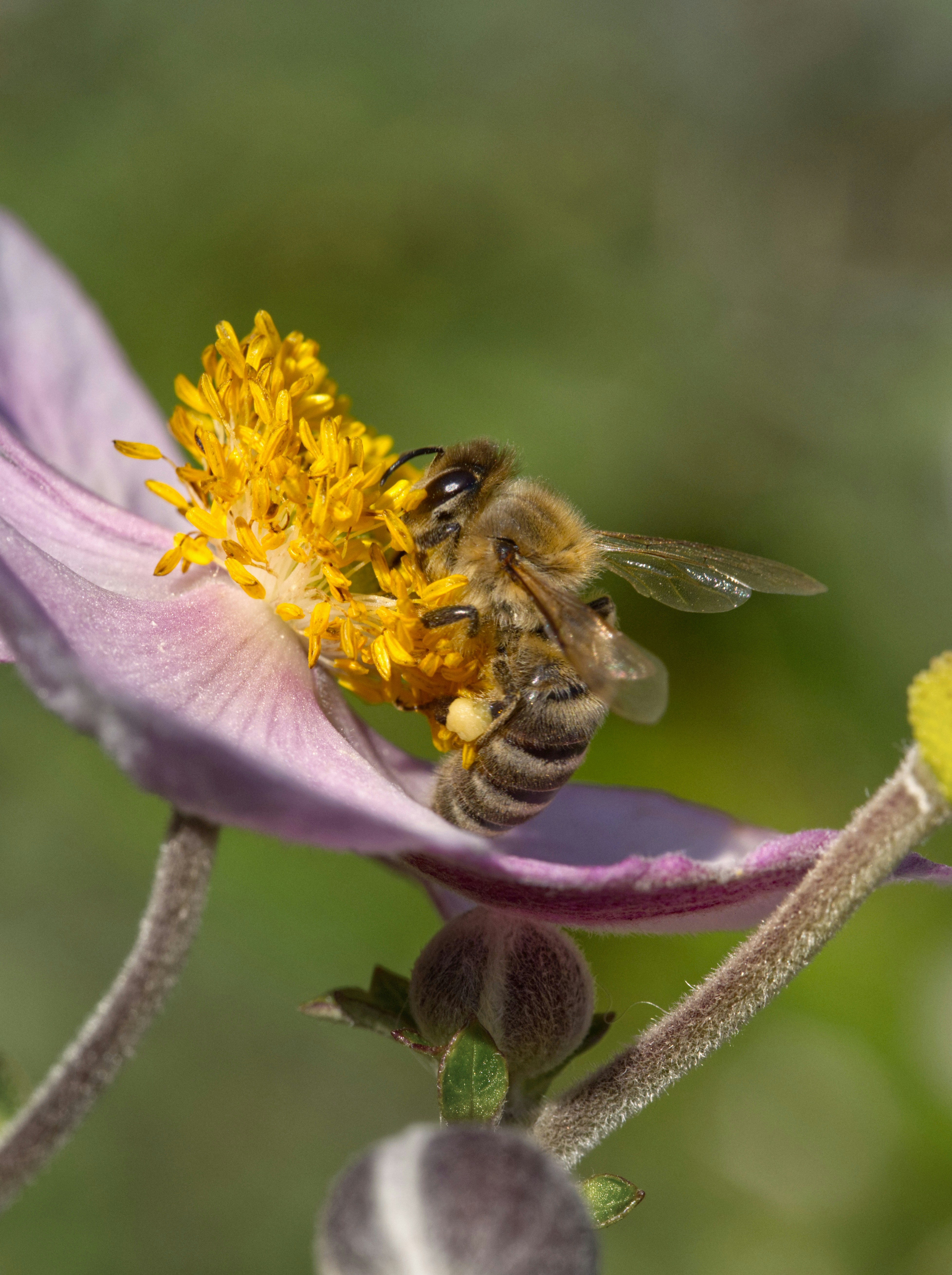 Photo by theskytales