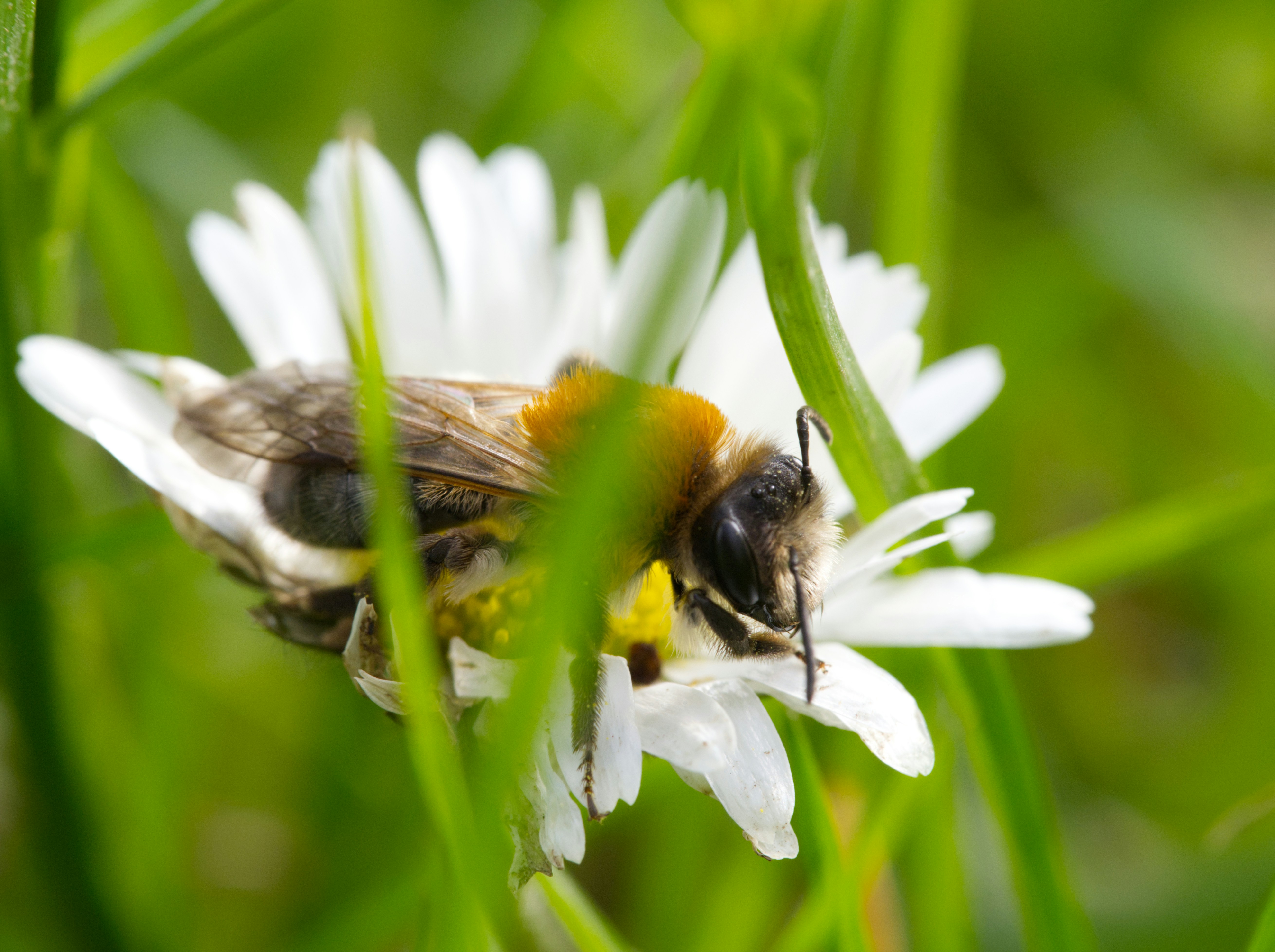 Photo by theskytales