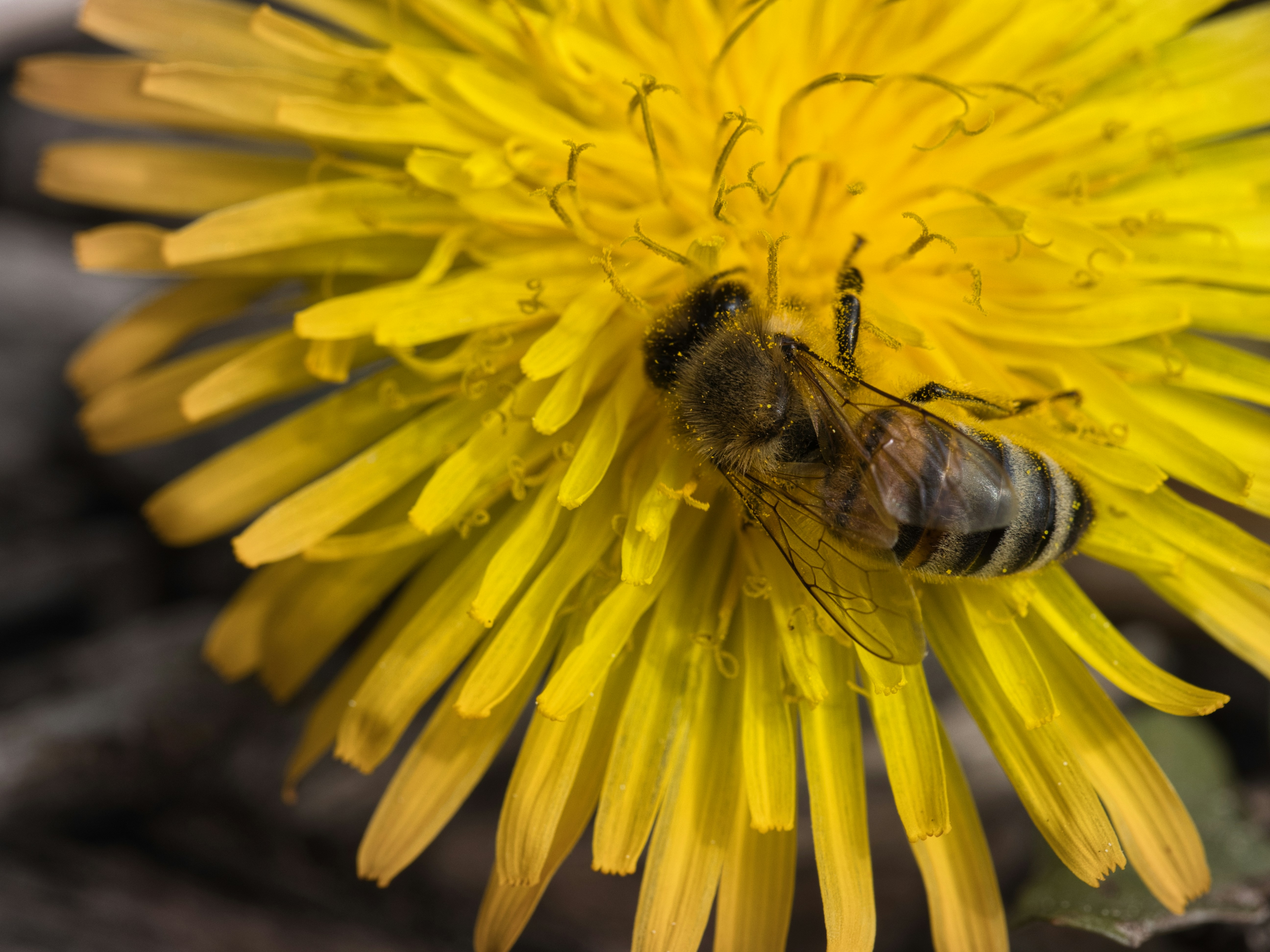 Photo by theskytales