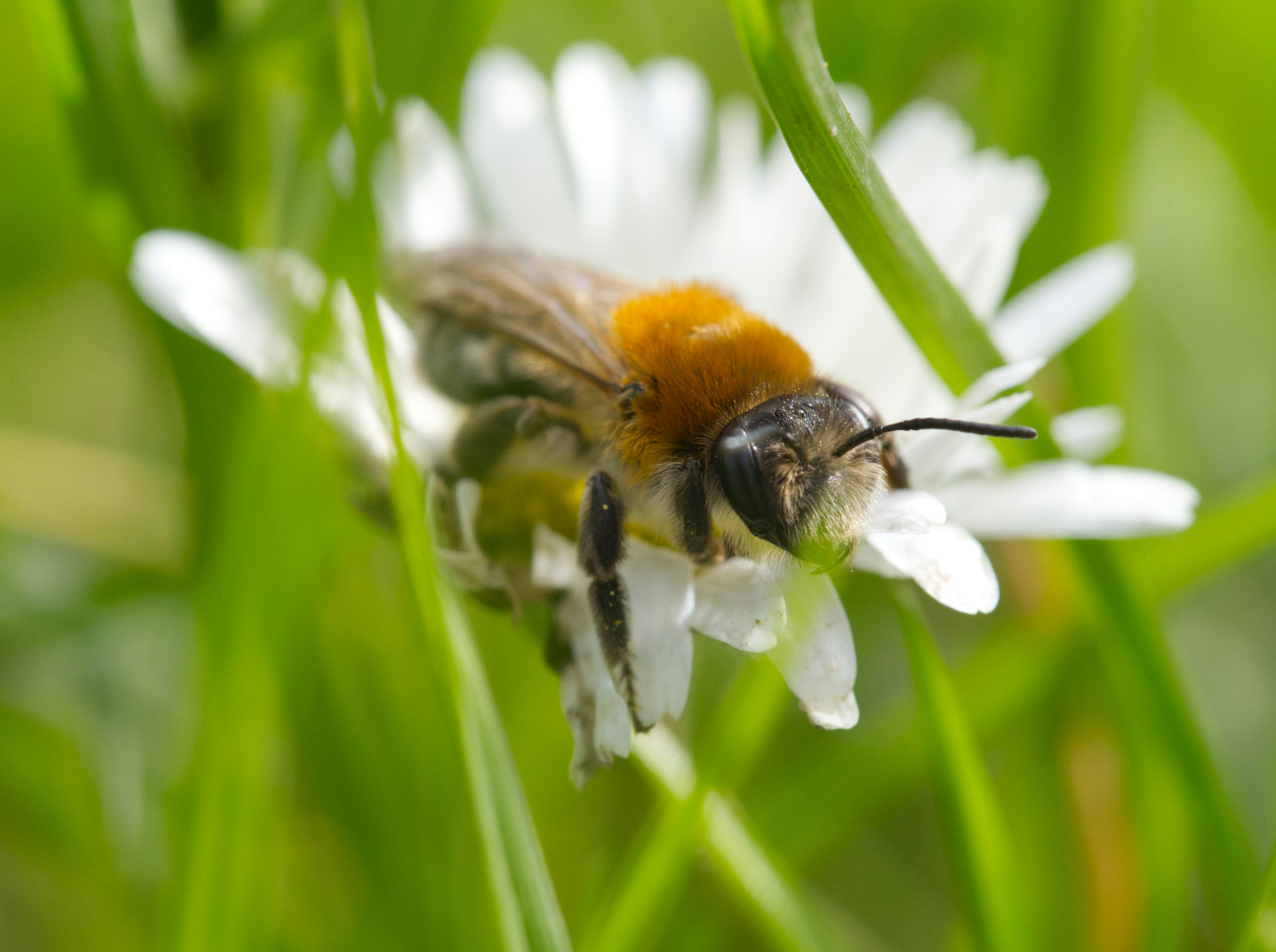 Photo by theskytales