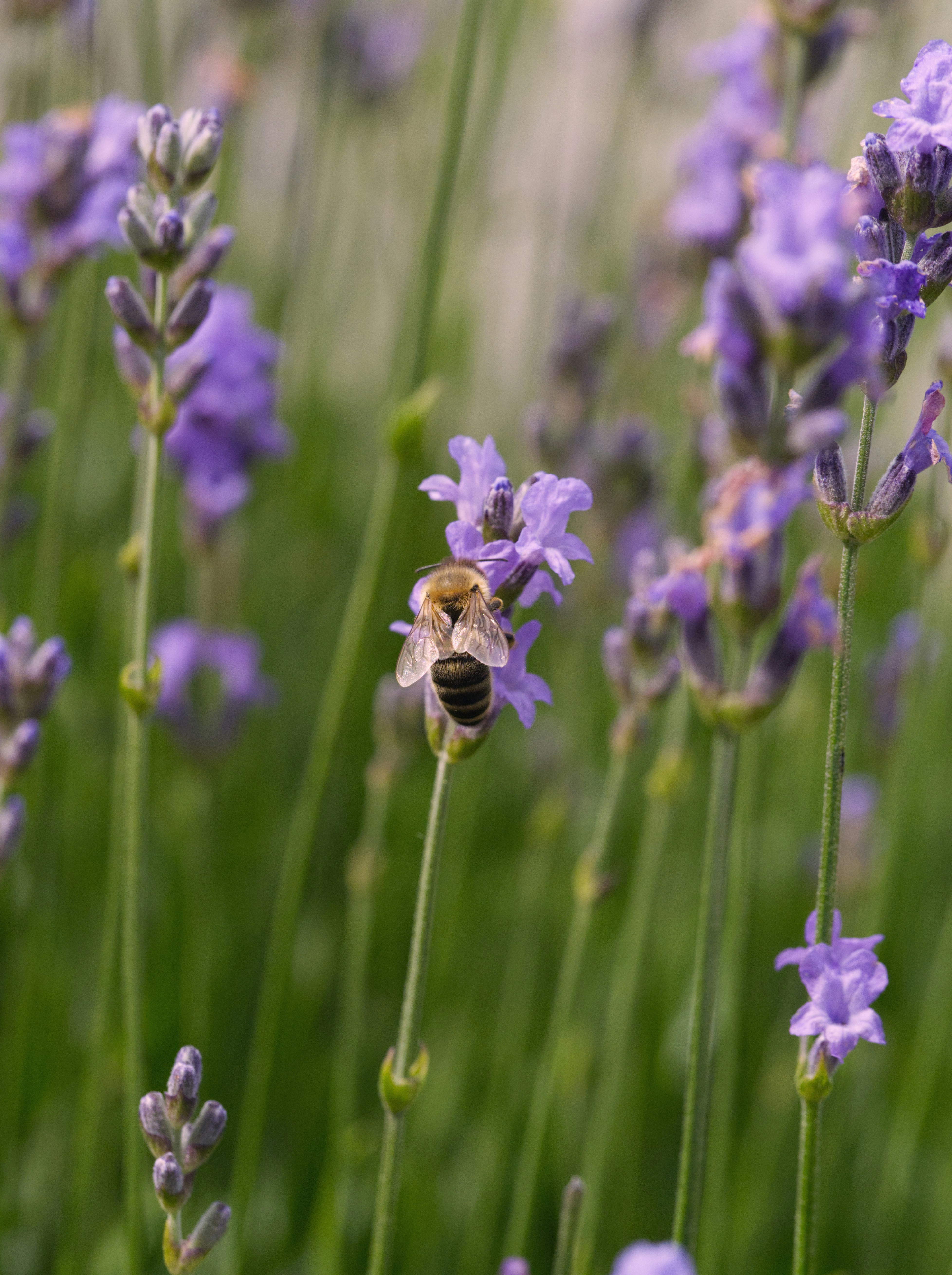 Photo by theskytales