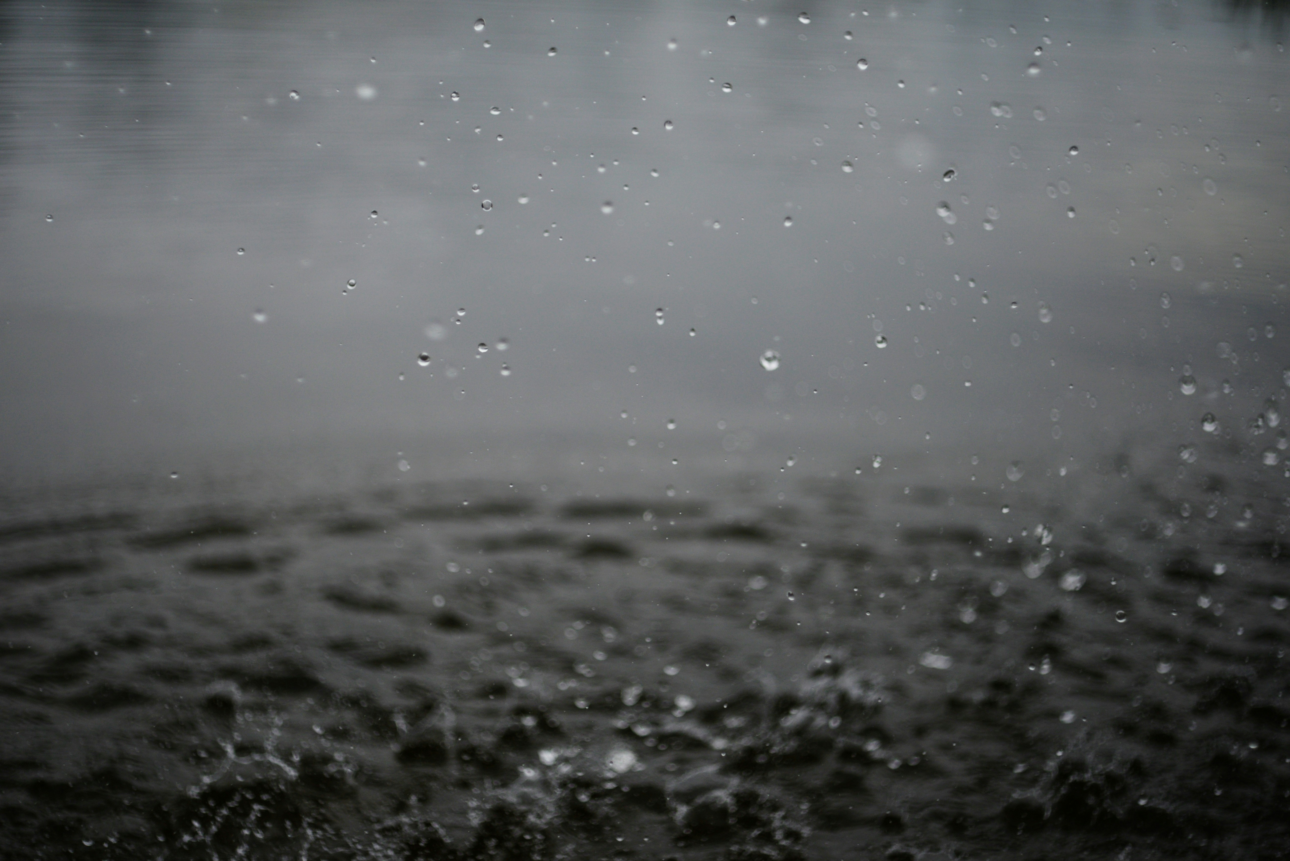 Photo by cherstve_pechivo