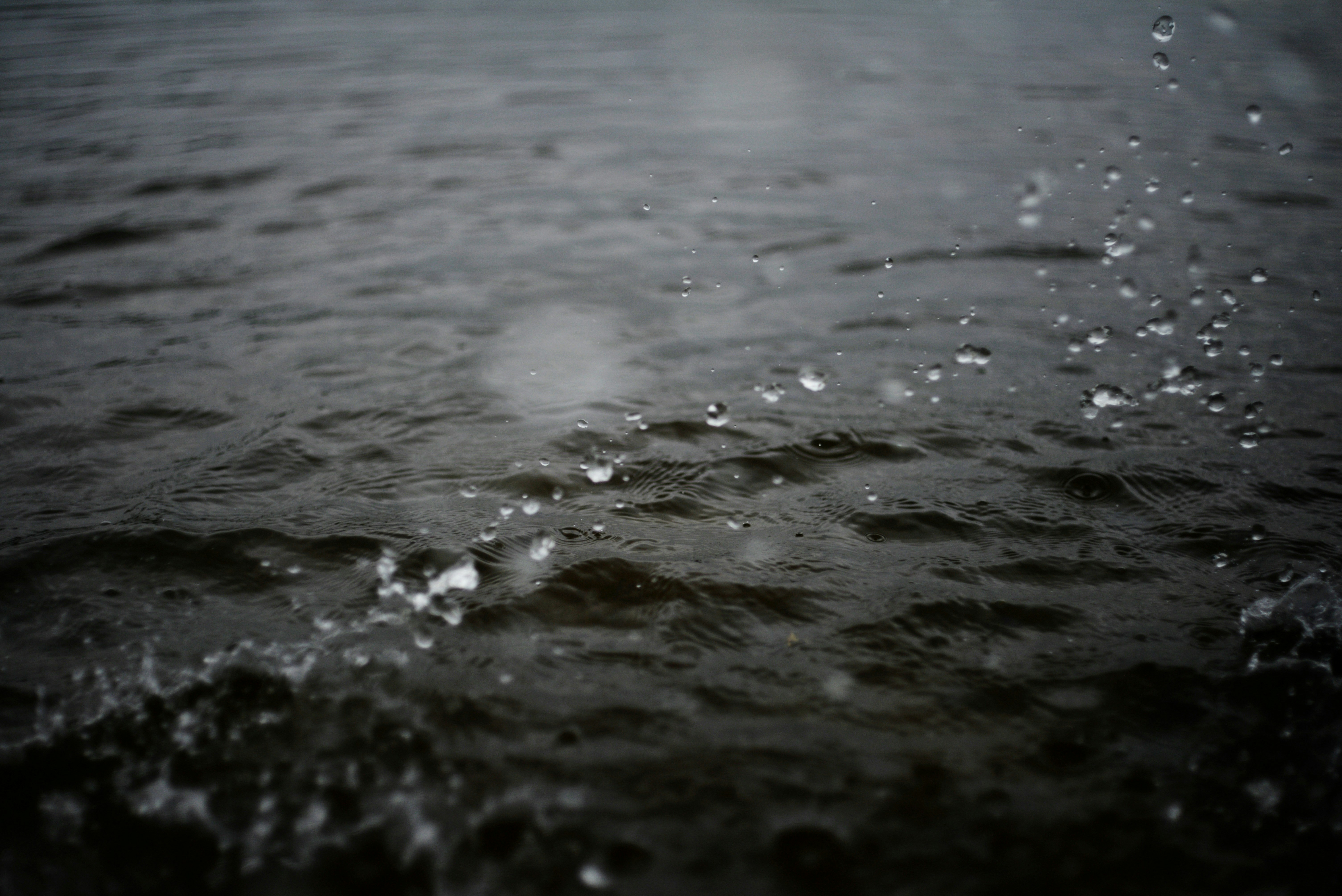 Photo by cherstve_pechivo