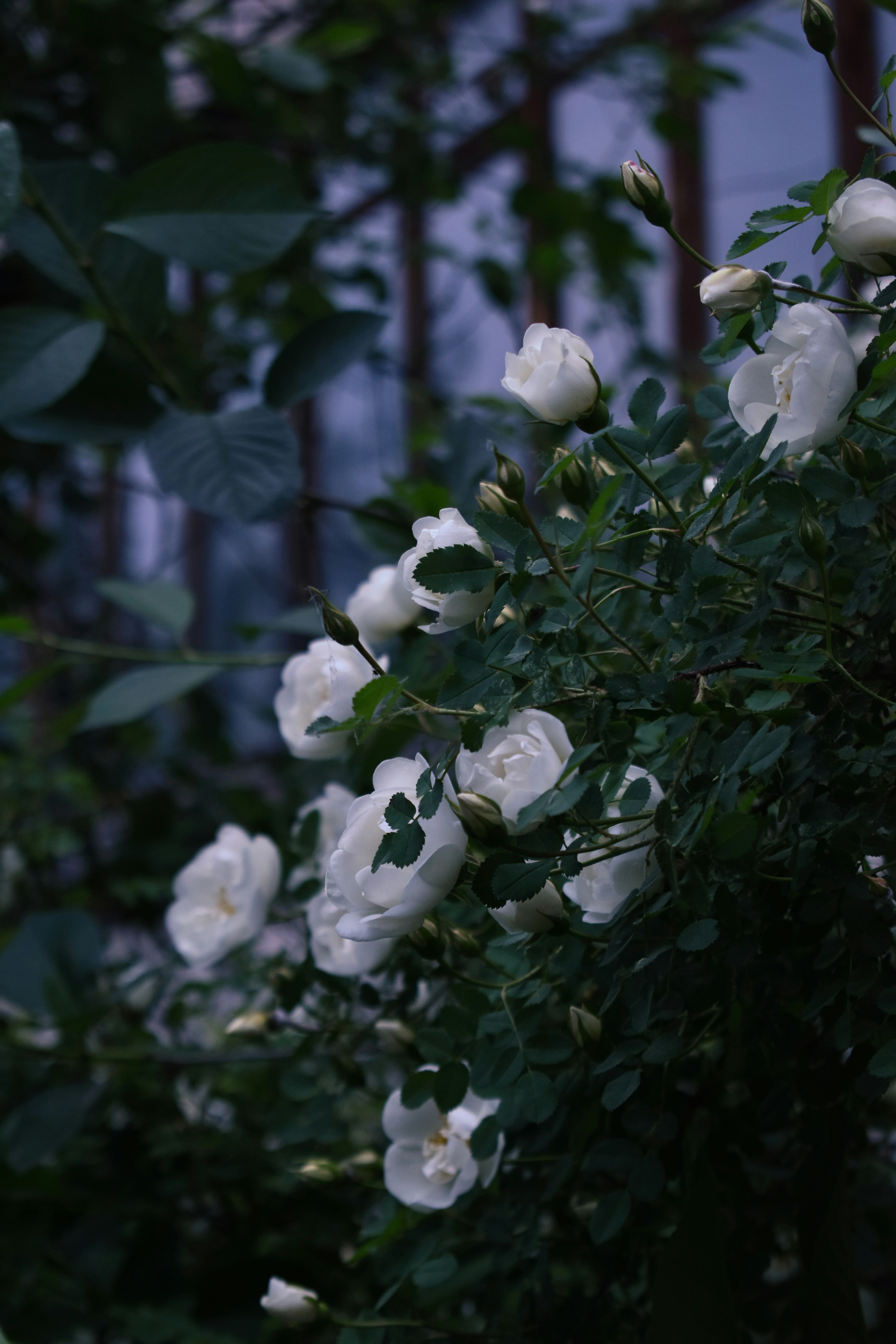 Photo by polina_grishma