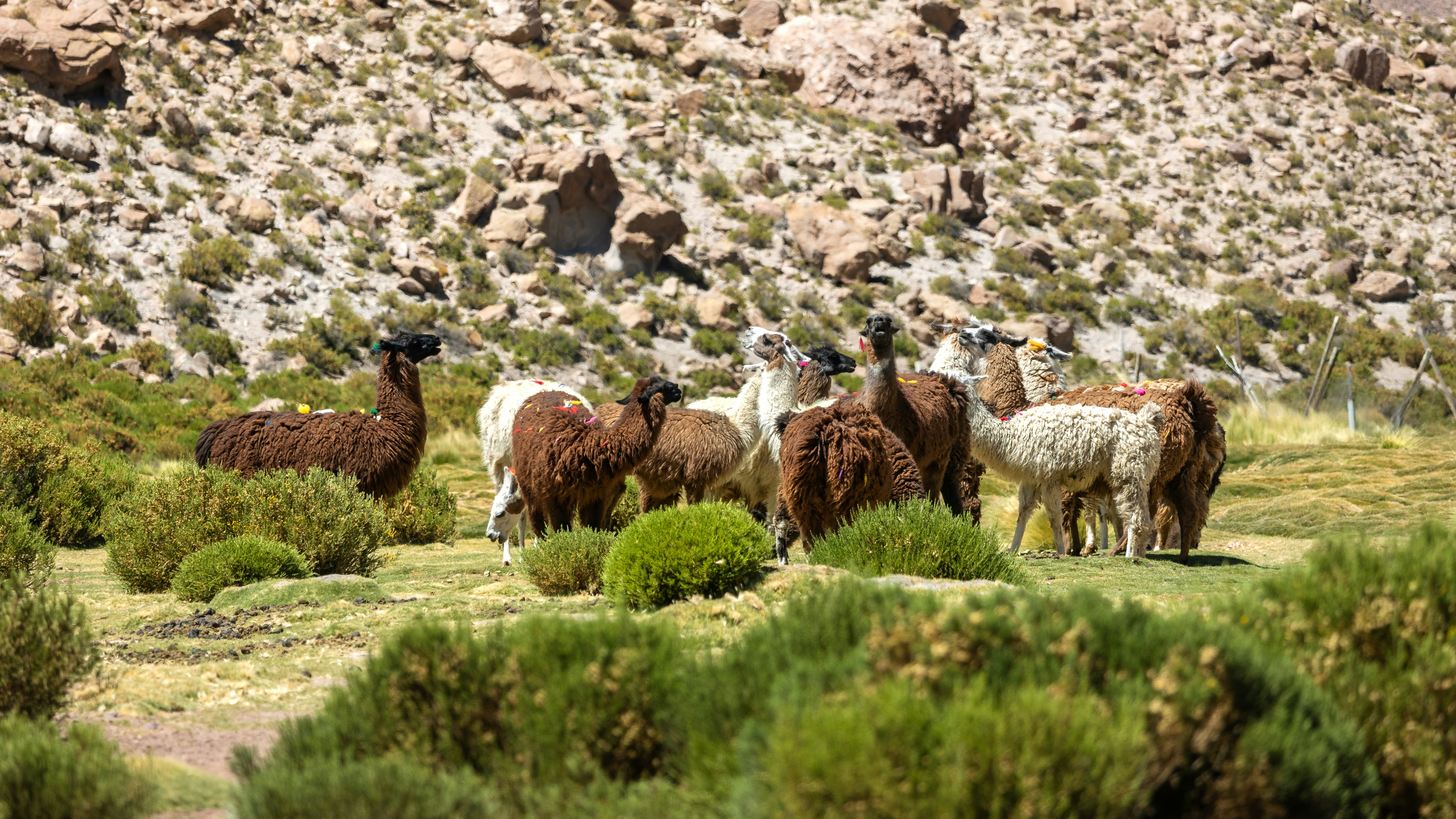 Photo by marekpiwnicki