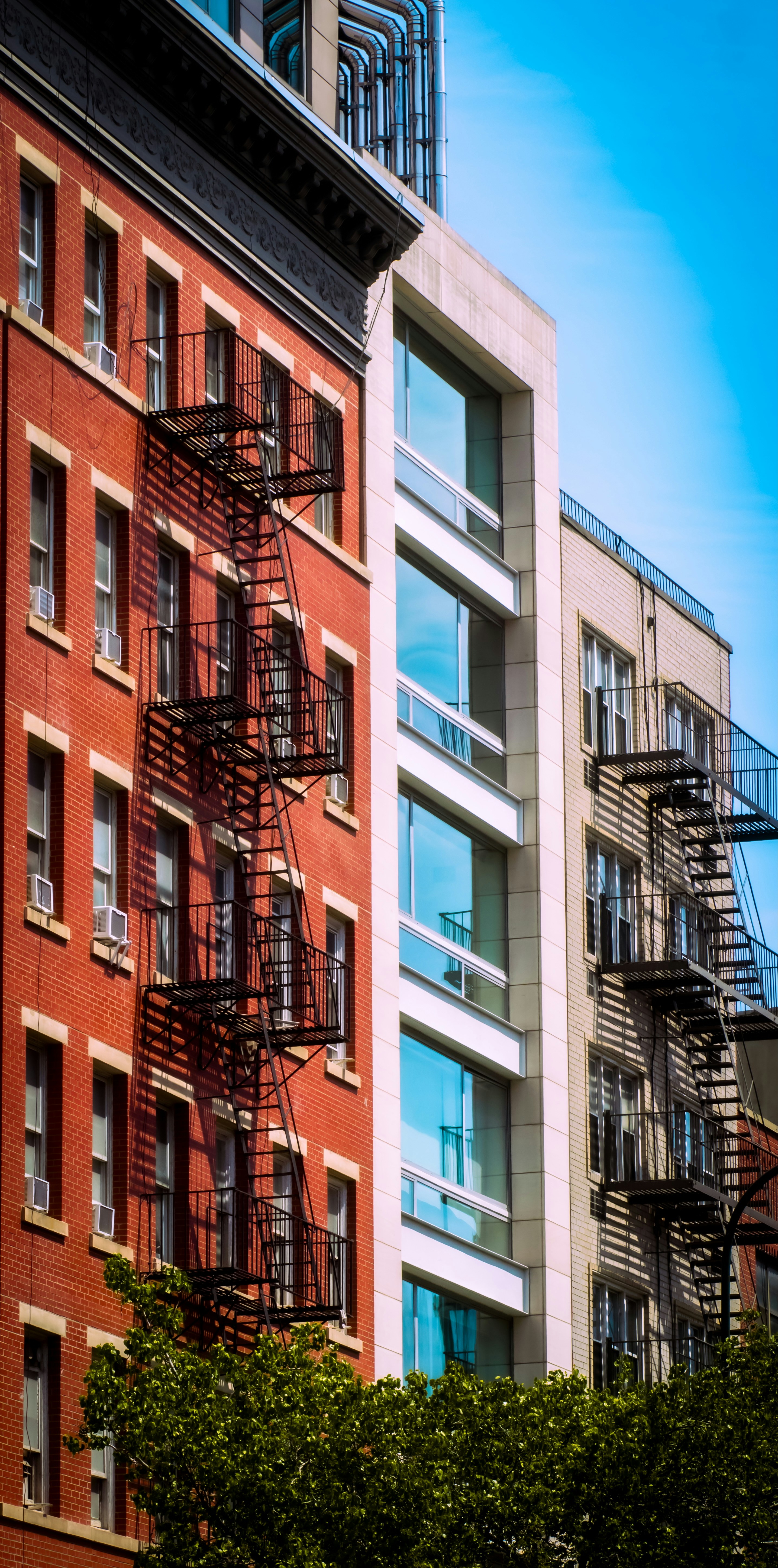 Photo by thegardenstateexplorerr