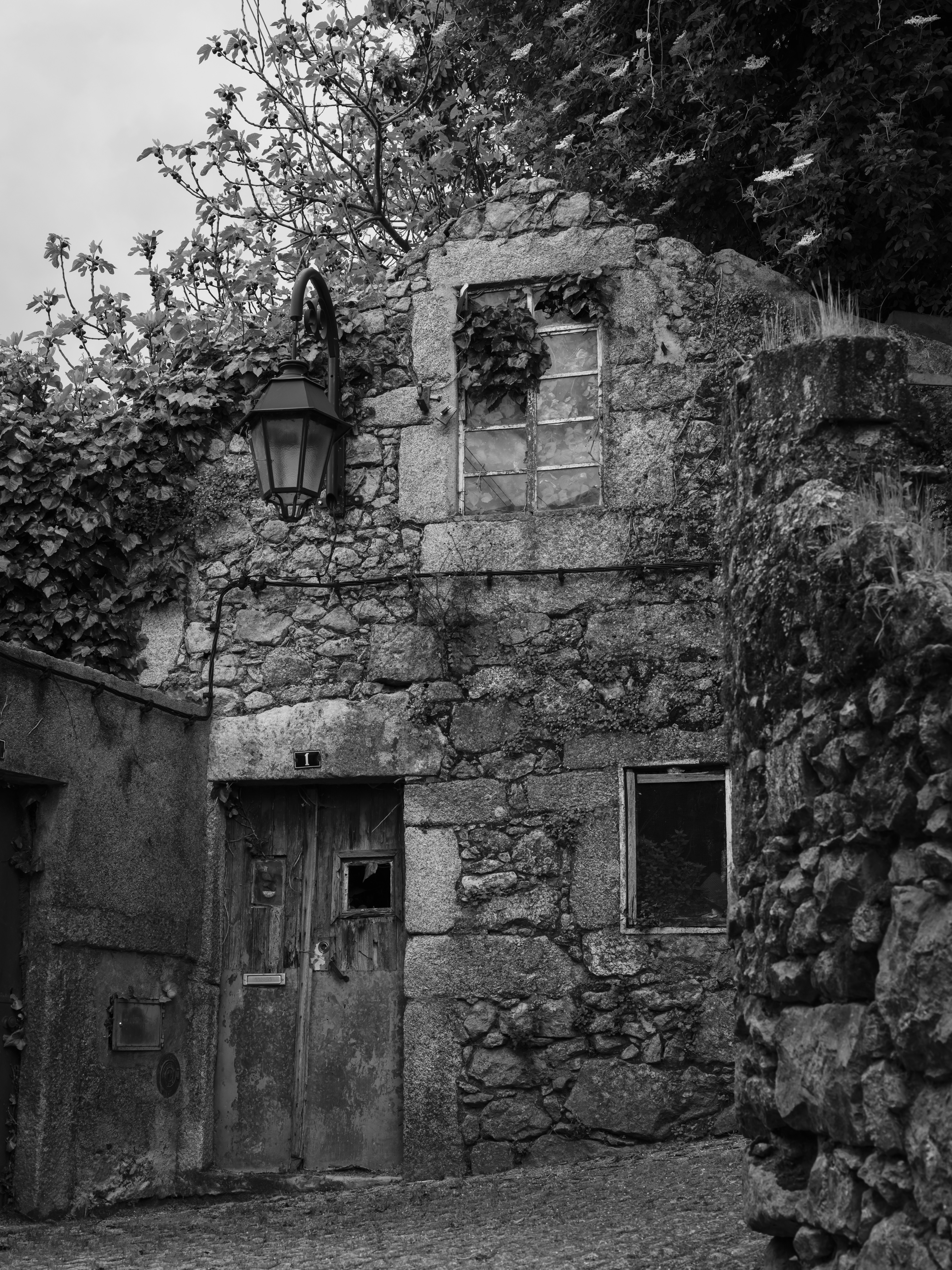 Photo by samueljeronimo