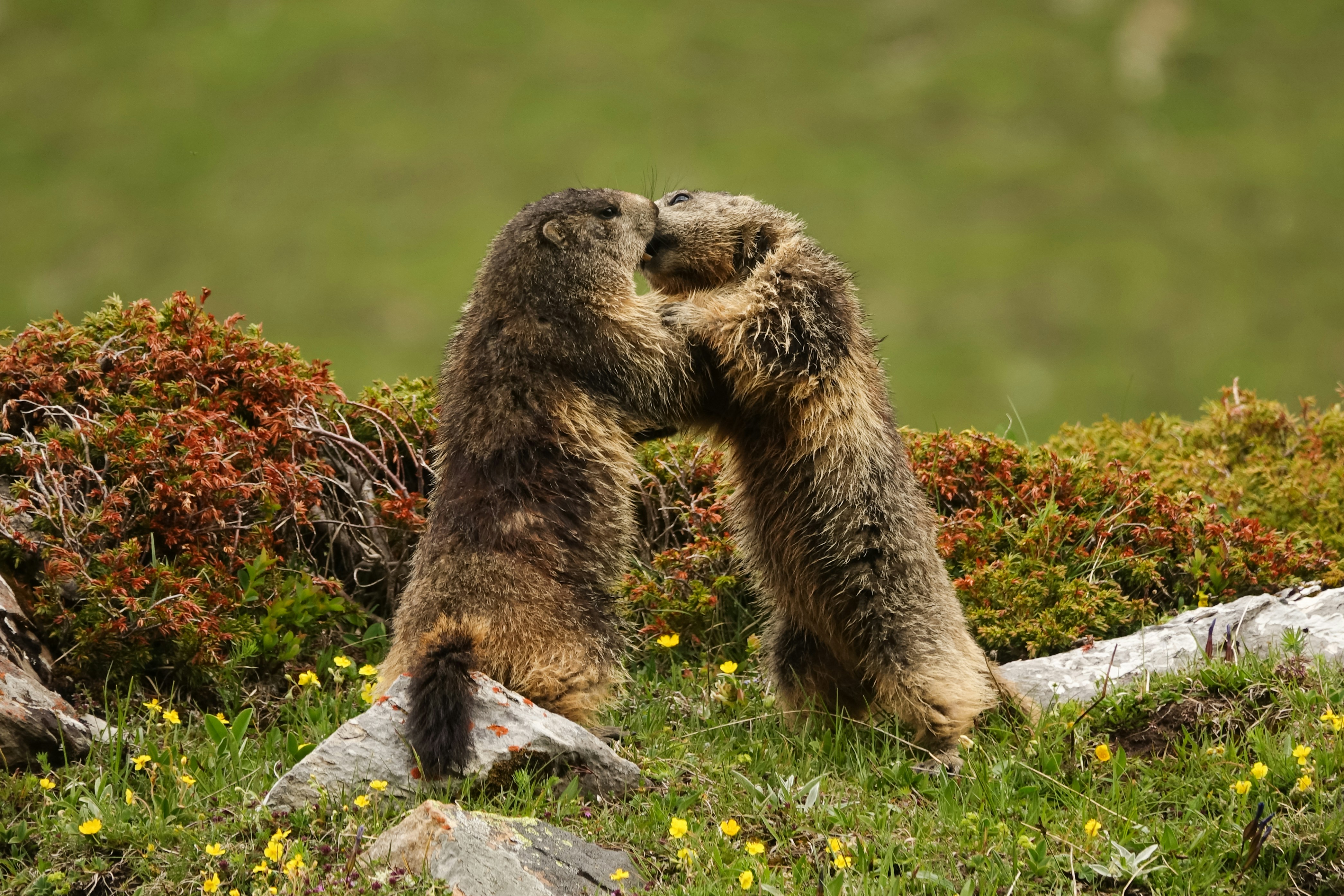 Supportive group hug