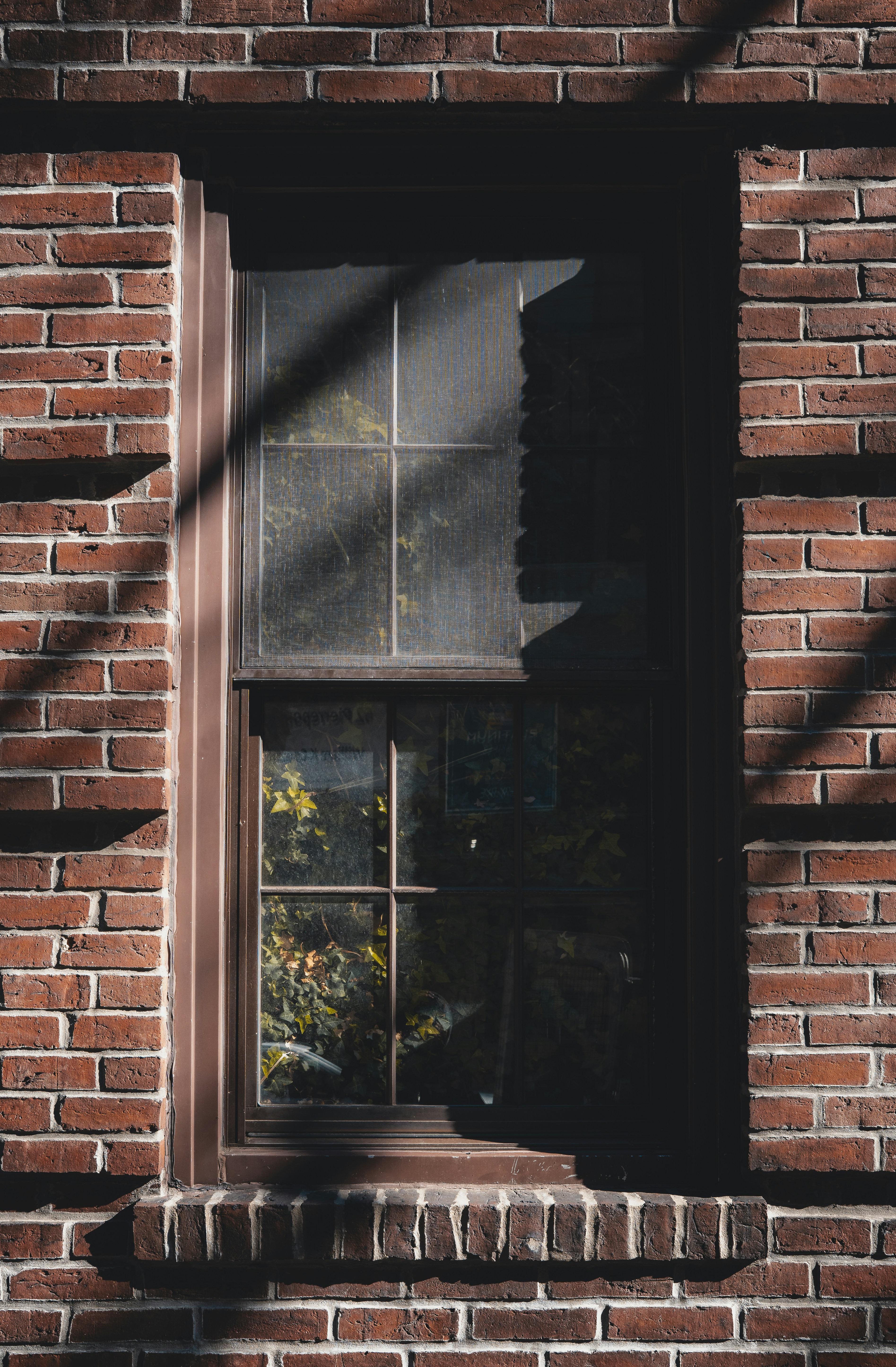 Photo by willianjusten