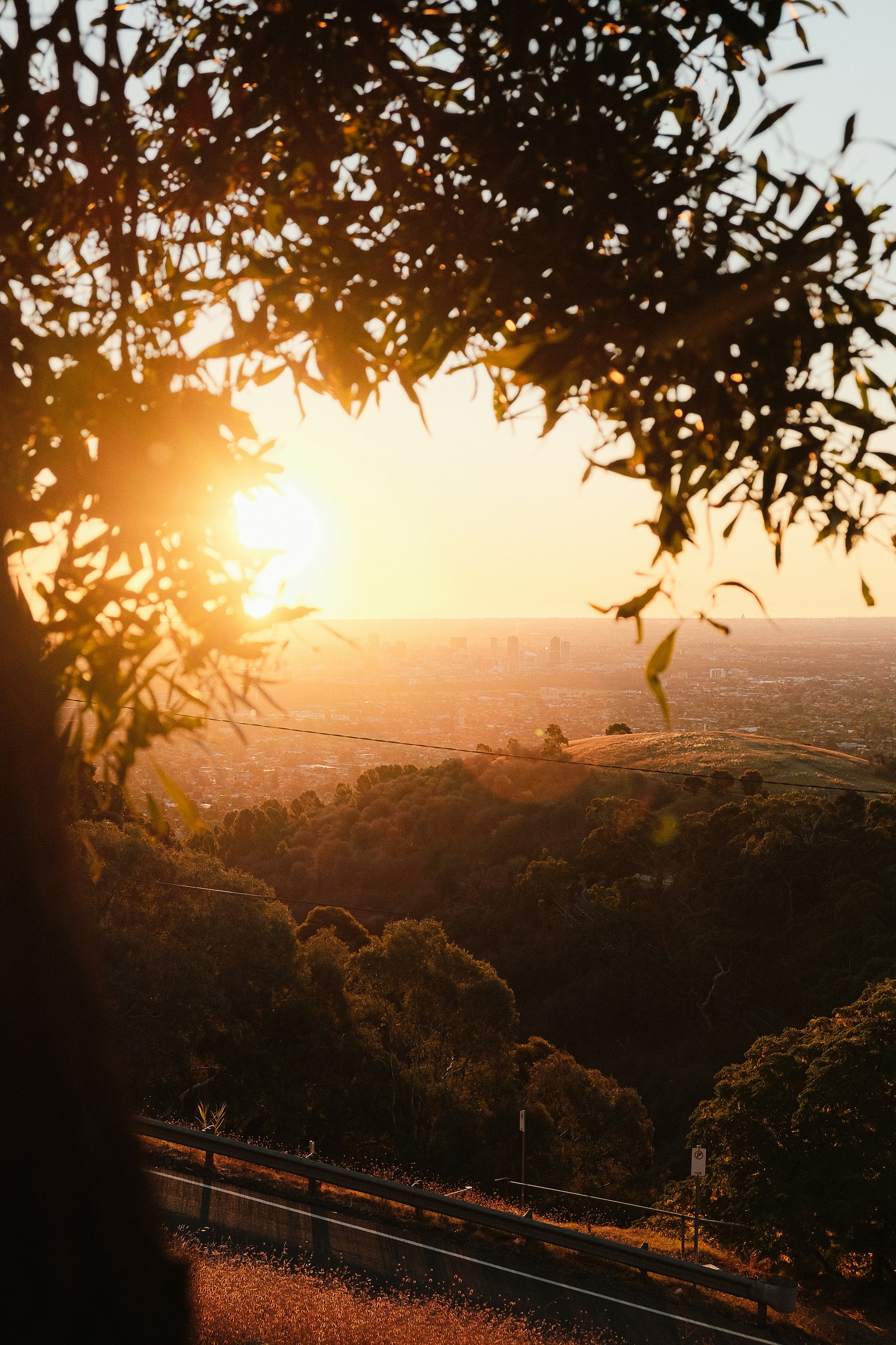 Photo by siddhu5_jpeg