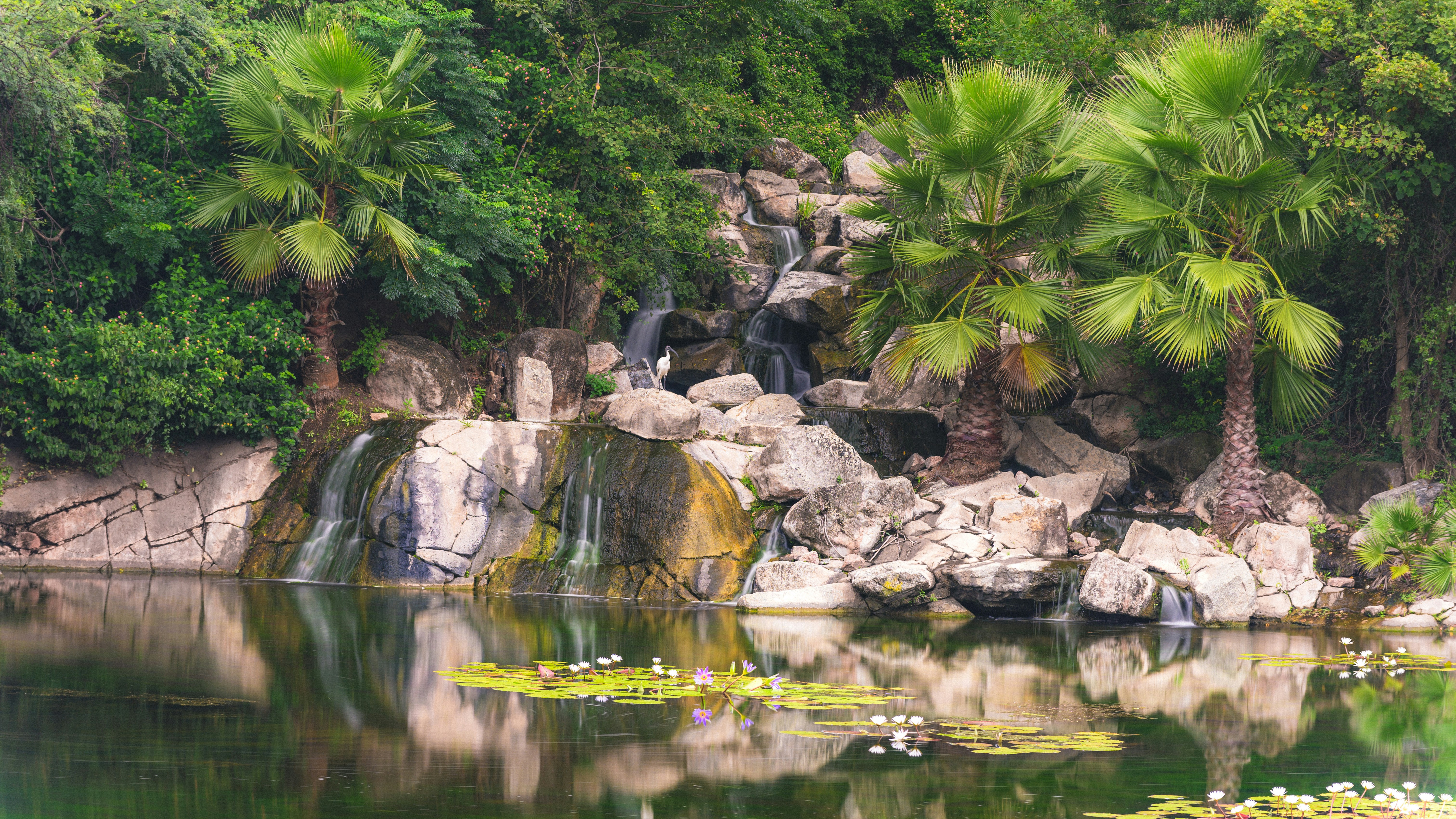 French prosecutors suspect Musk encouraged deepfakes row ...