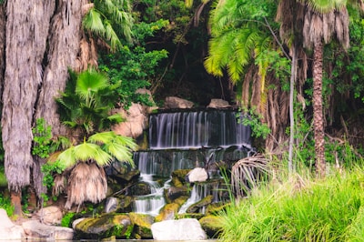 A beautiful waterfall cascades down through lush greenery.