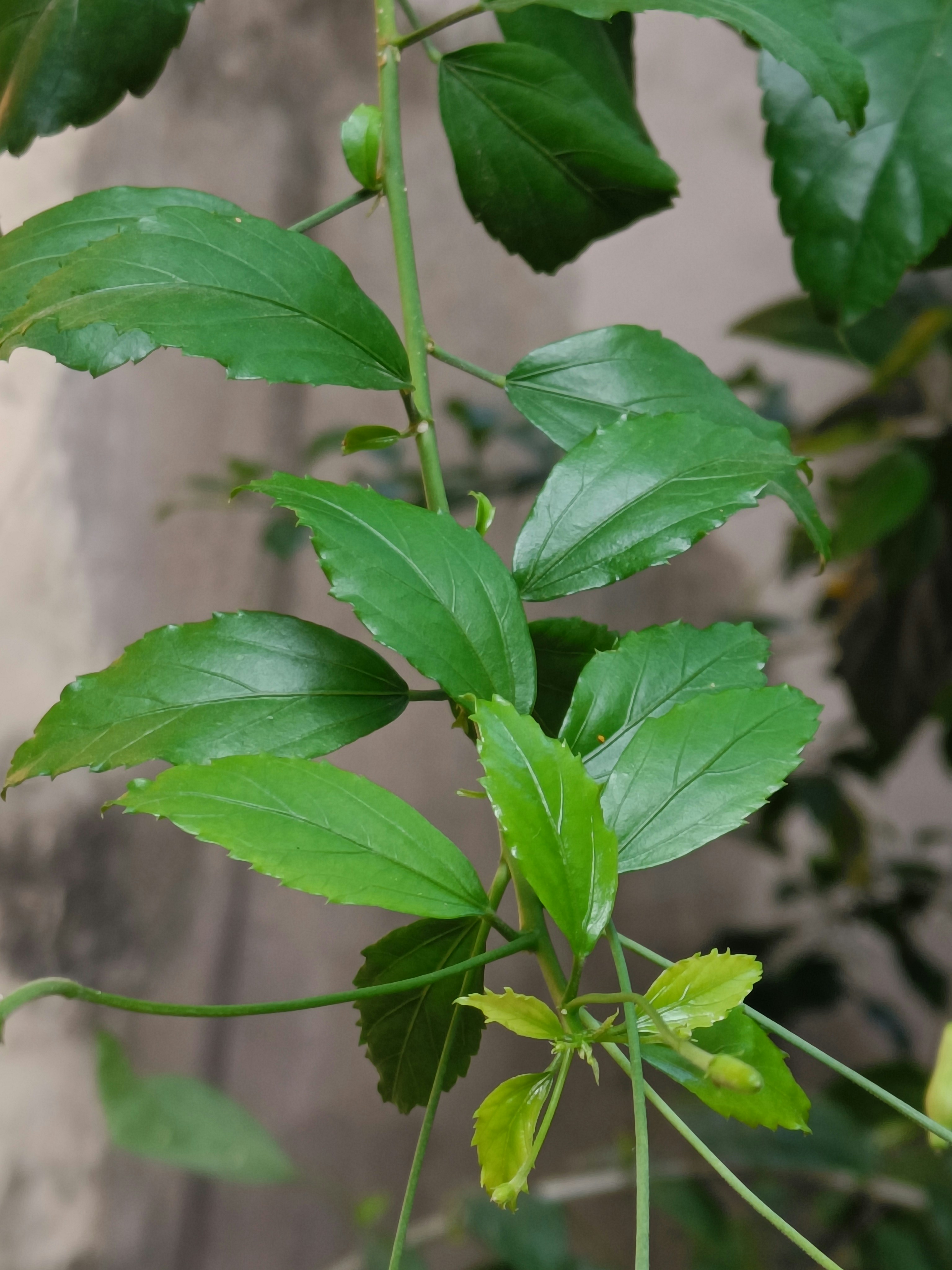 Photo by bharathi_13