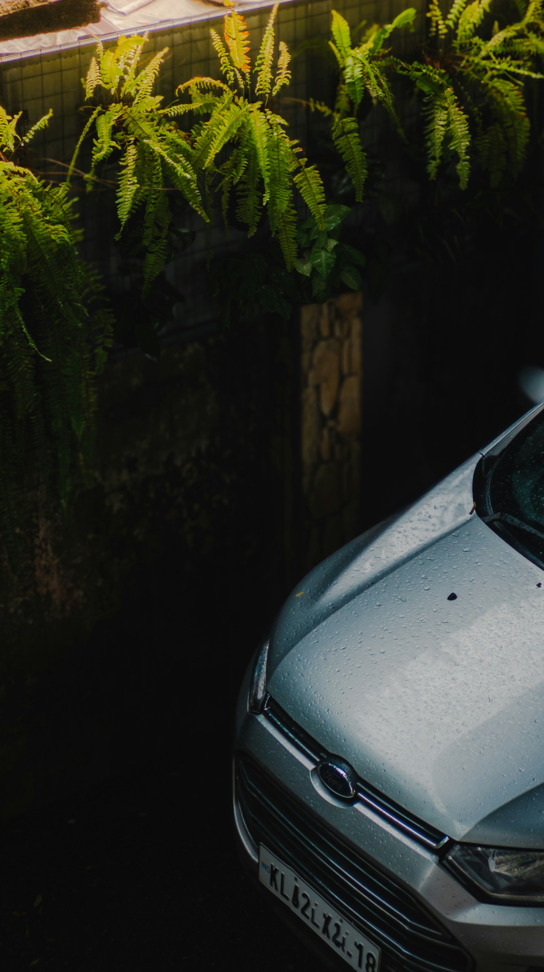 Photo by pocketpixeldiary