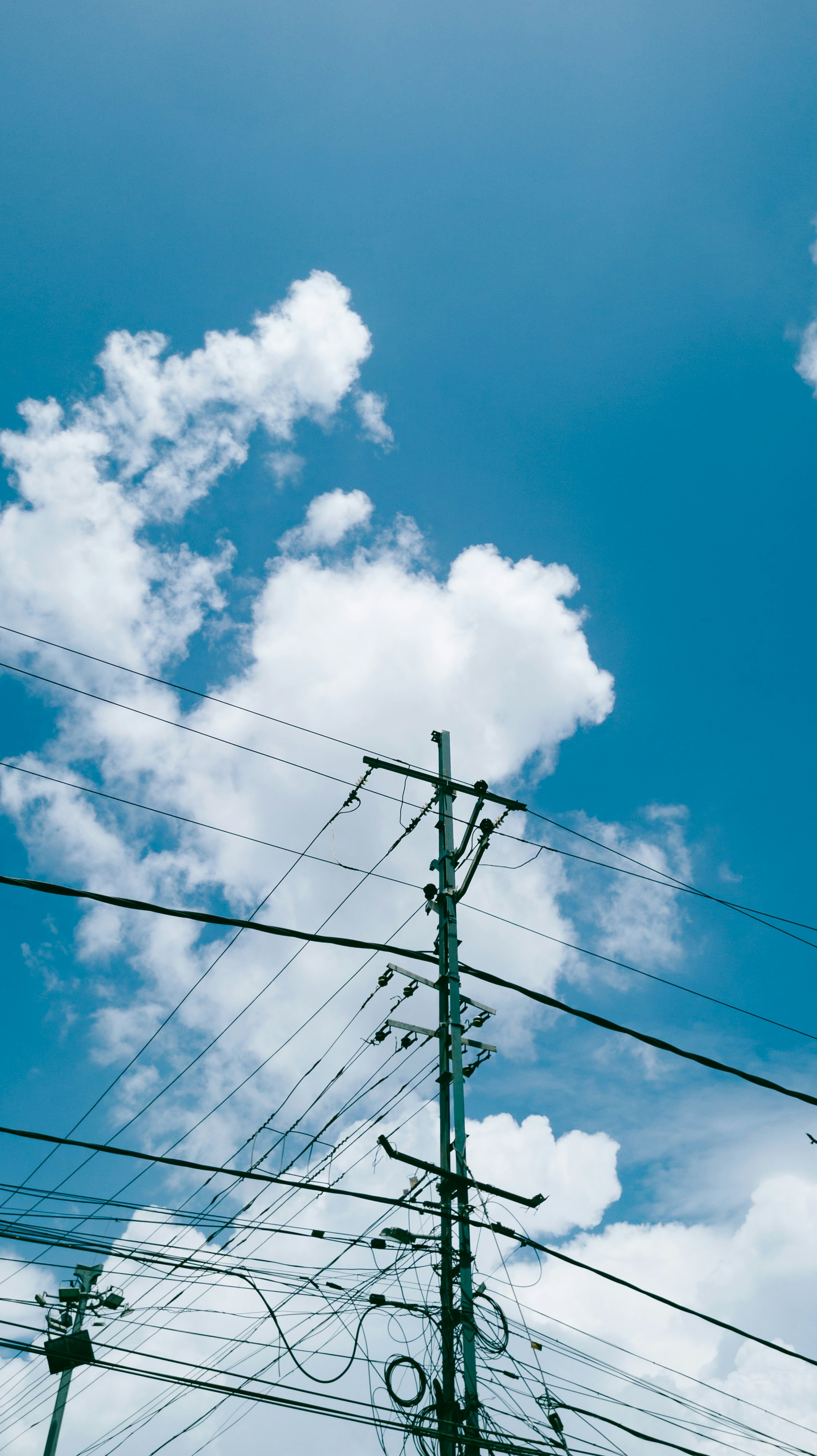 Photo by pocketpixeldiary