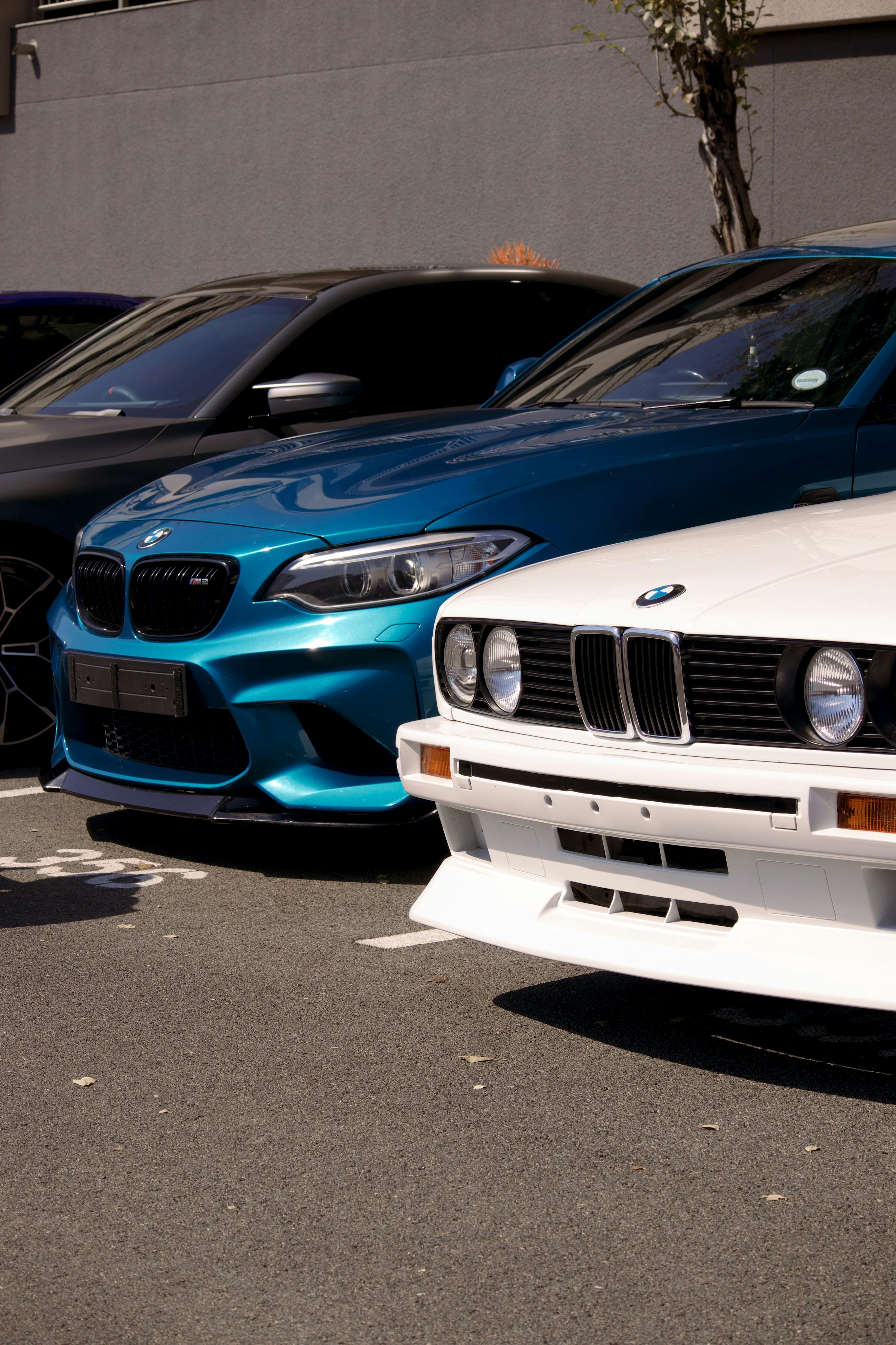 Photo by harshvashistha