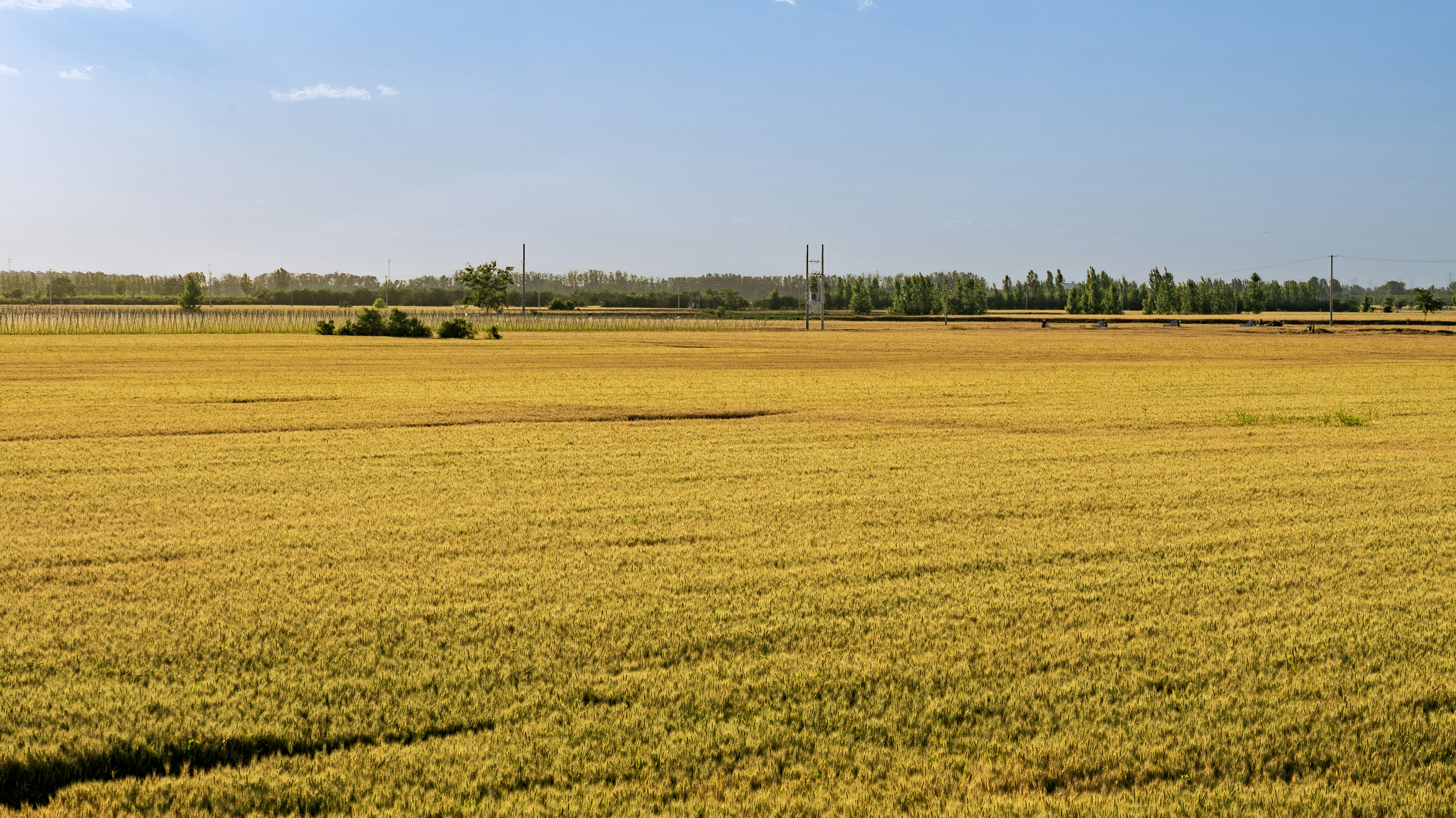 Photo by aiden_kepler