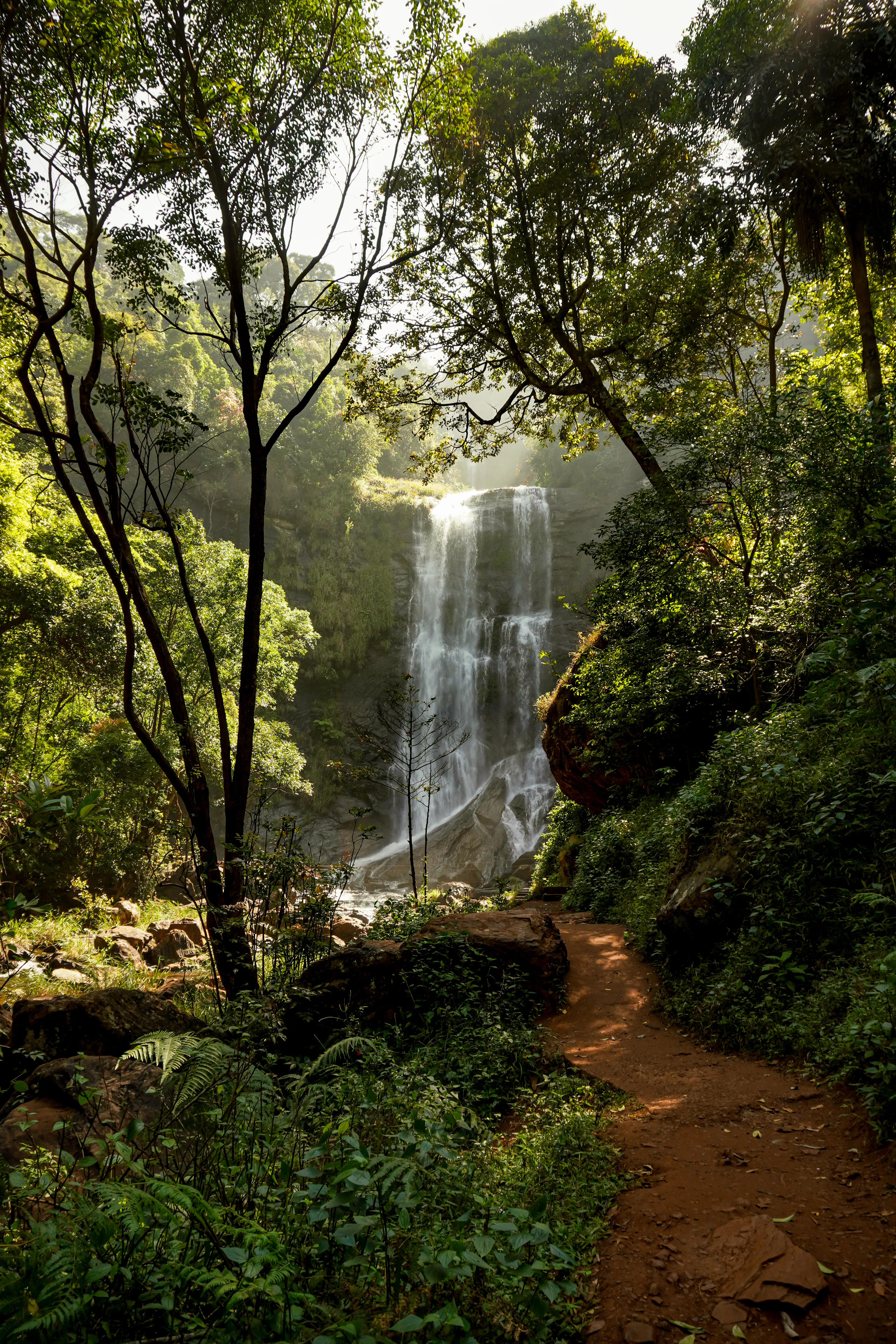 ಎತ್ತರದ ಜಲಪಾತದತ್ತ ಸಾಗುವ ಕಾಡಿನ ಕಾಲುದಾರಿ