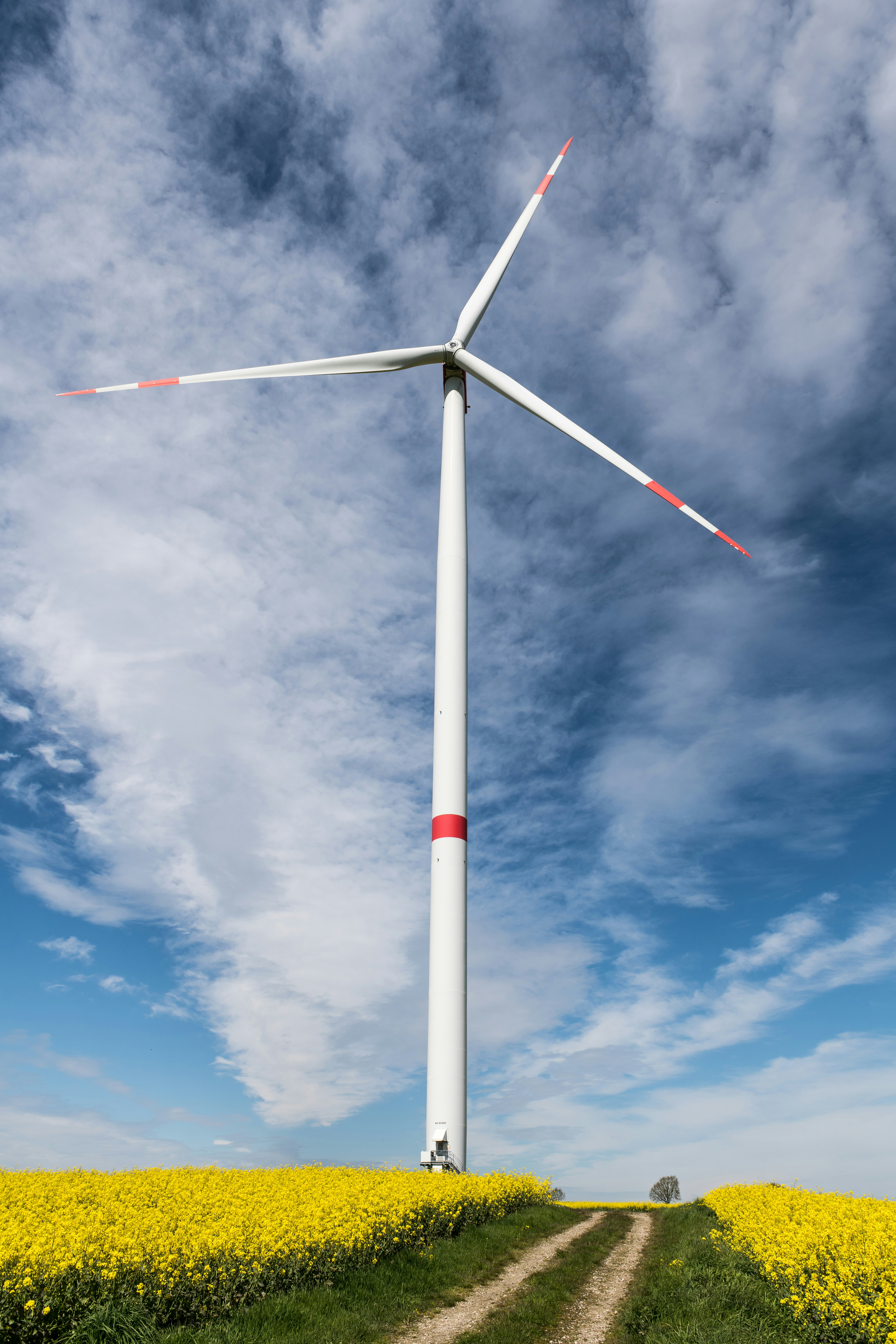 Photo by hamburgmeinefreundin