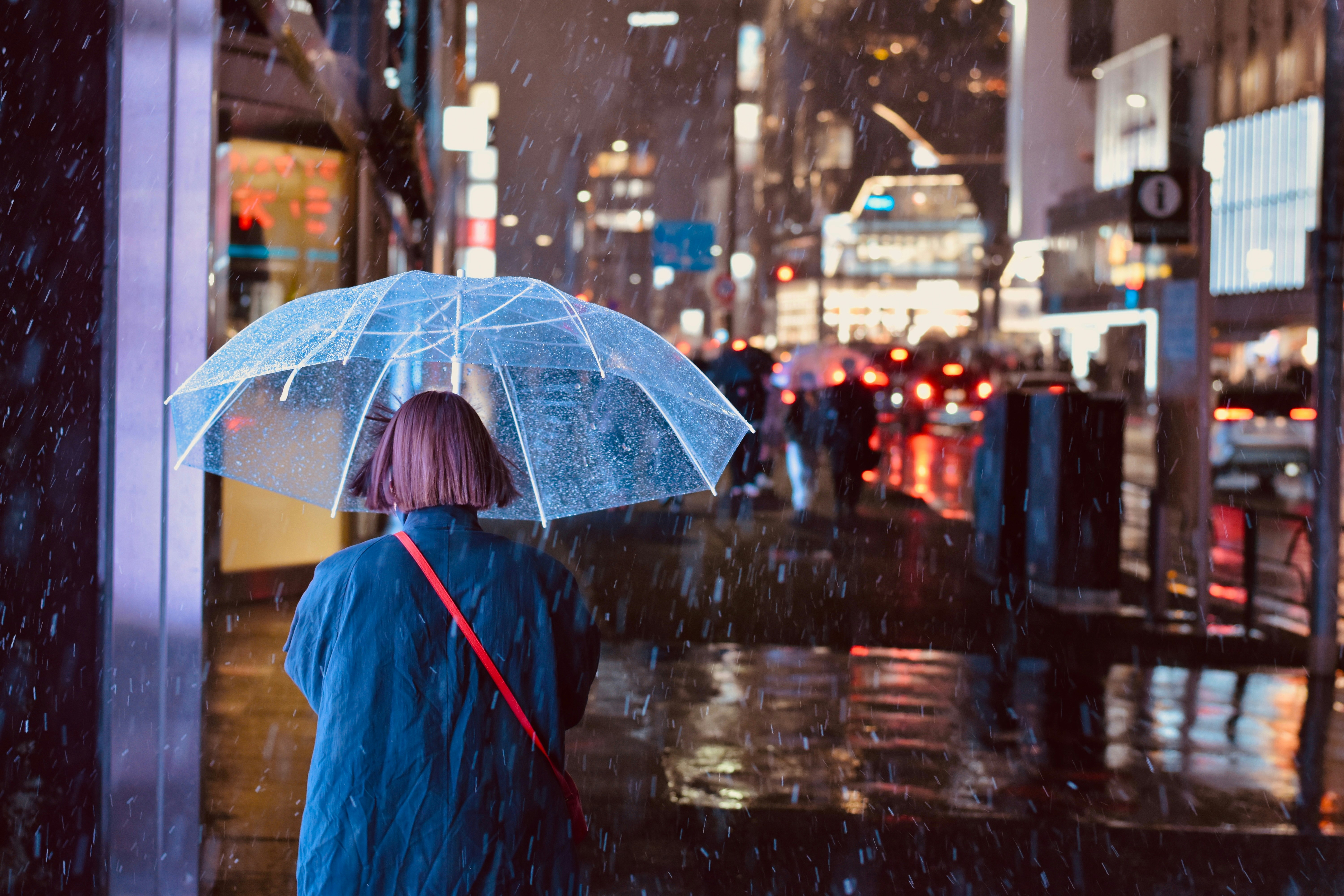 A person walks in the rain with an umbrella.