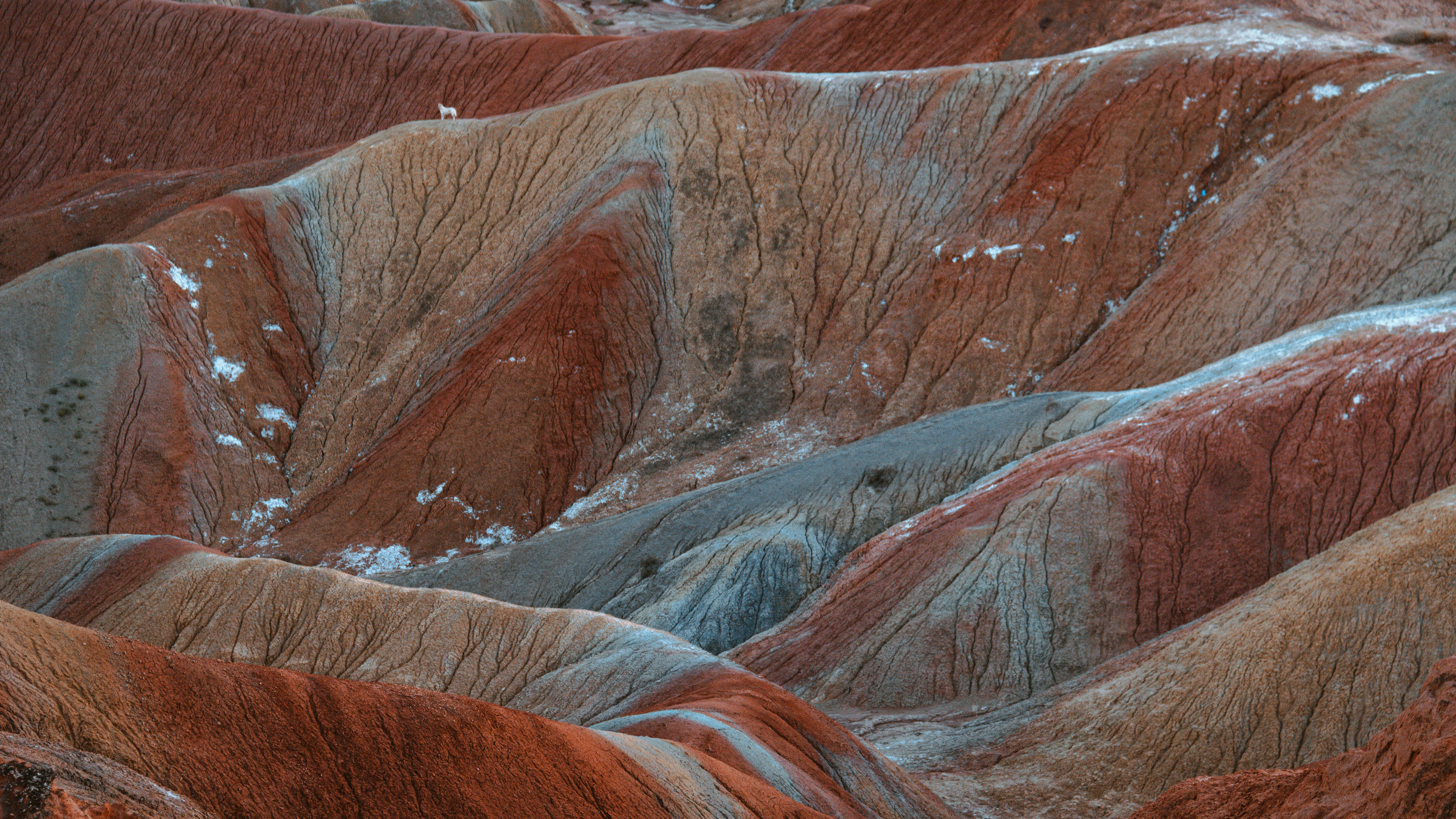 色とりどりの山々は、見事な自然の模様を示しています。