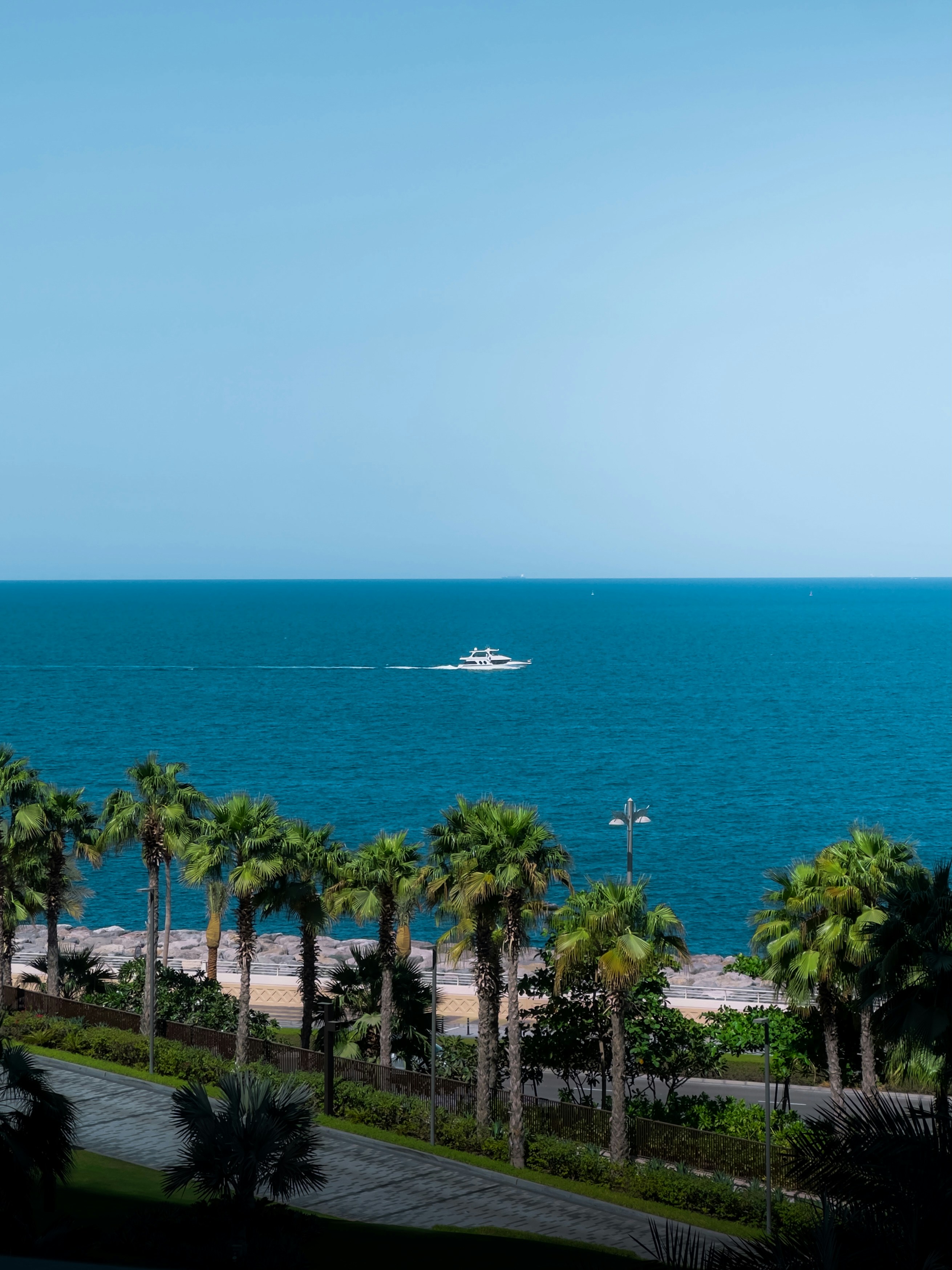 Palm trees, ocean, and boat under a clear blue sky.