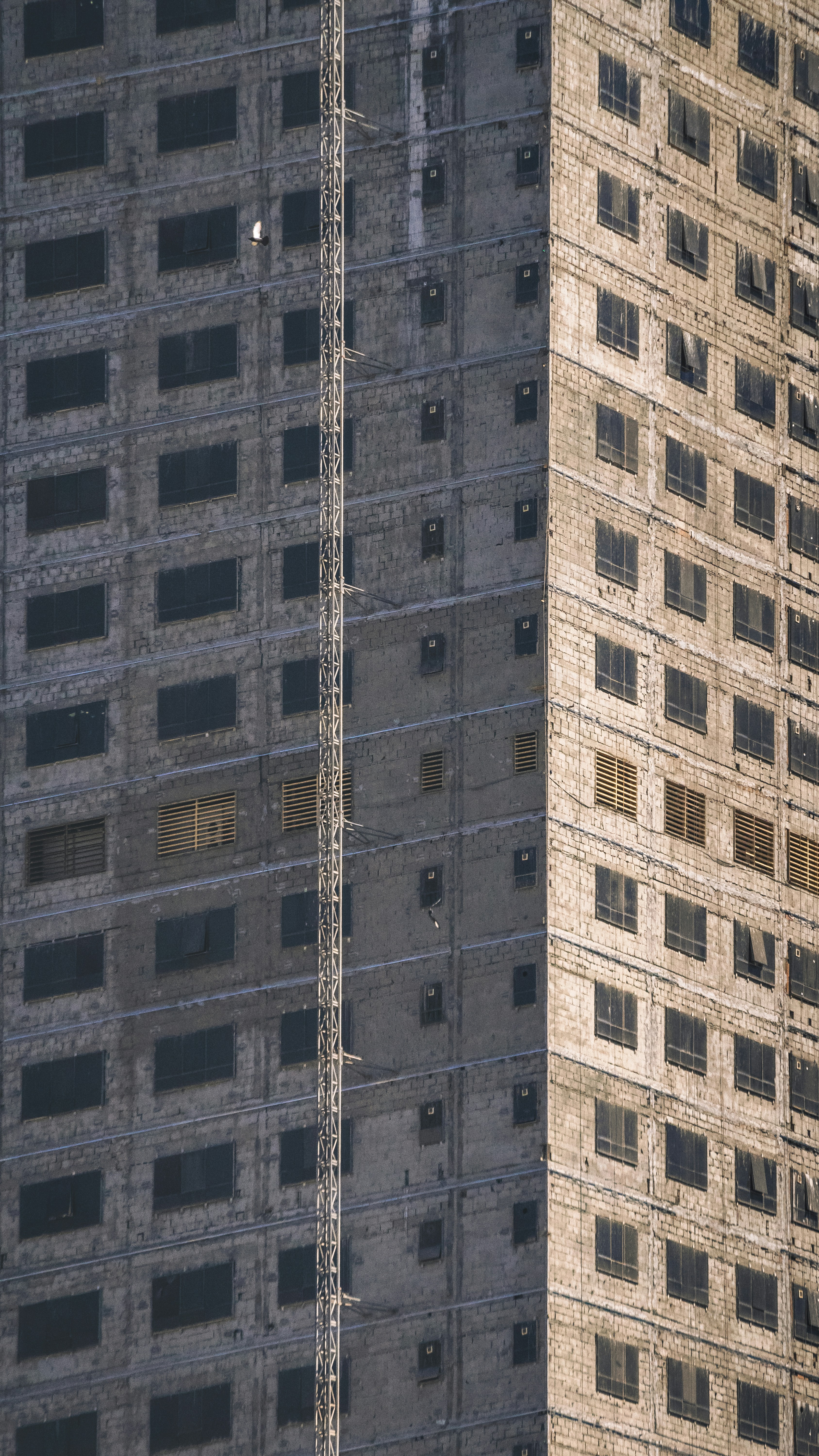 Photo by joejojoestar