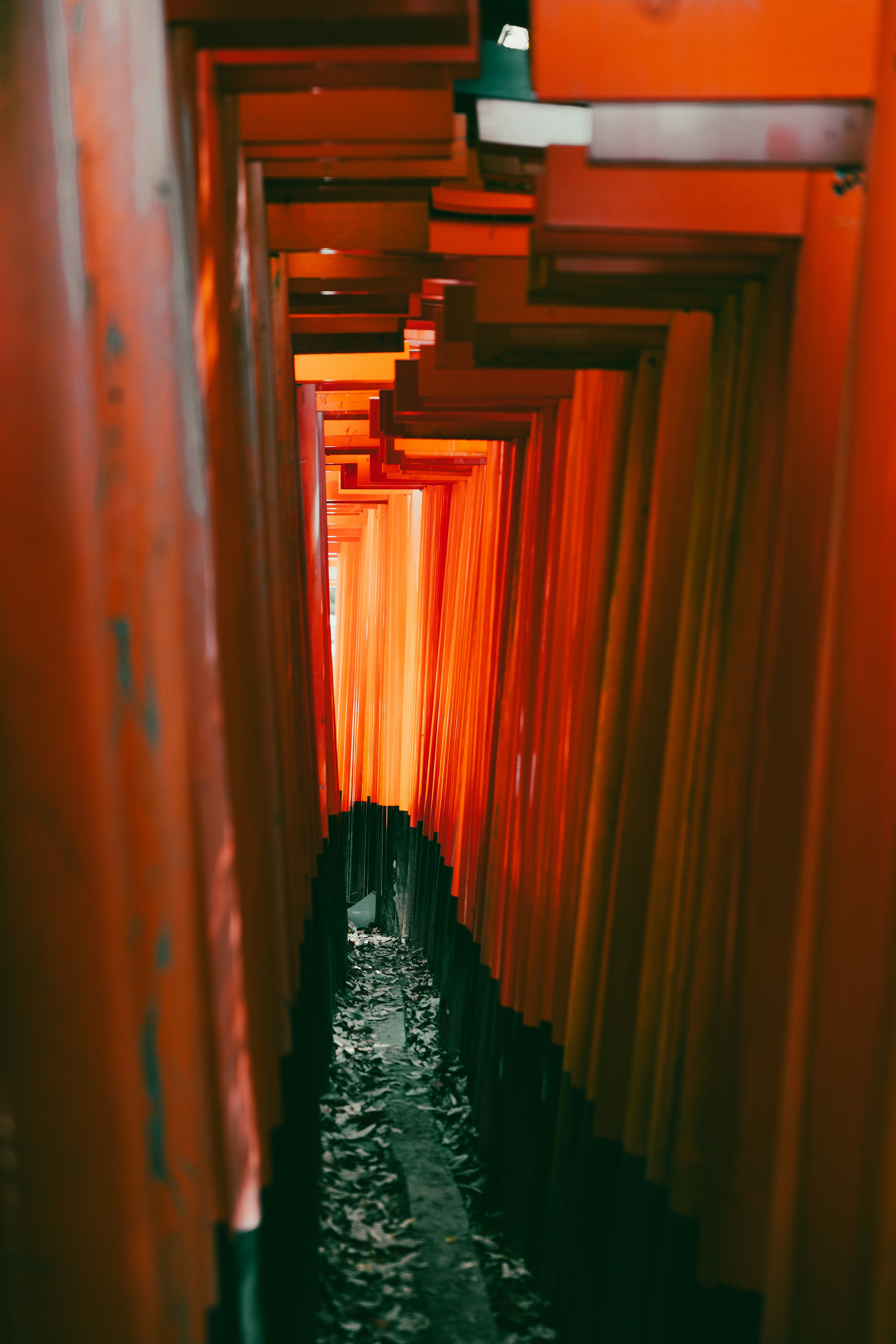 Photo by michael_surazhsky