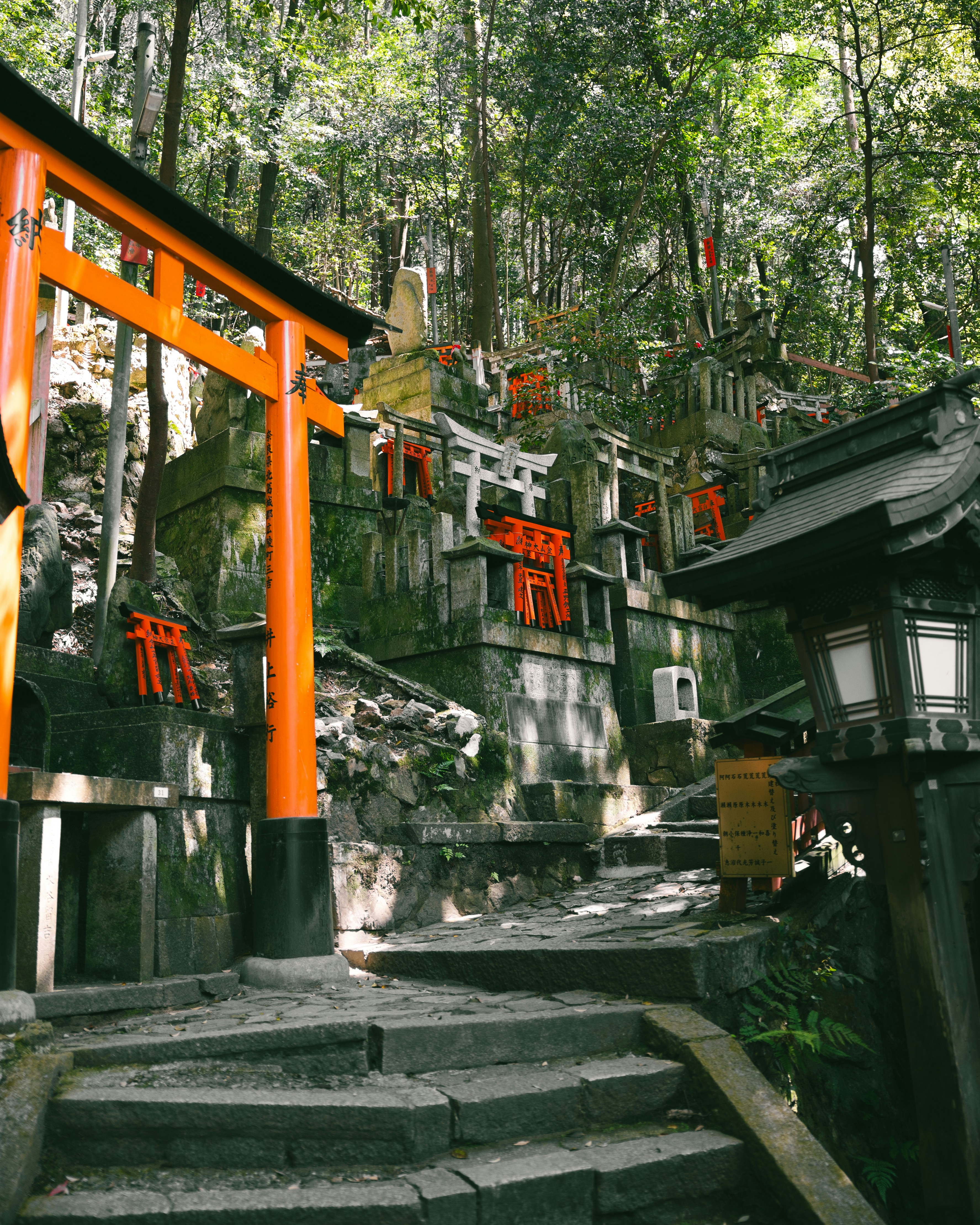 Photo by michael_surazhsky