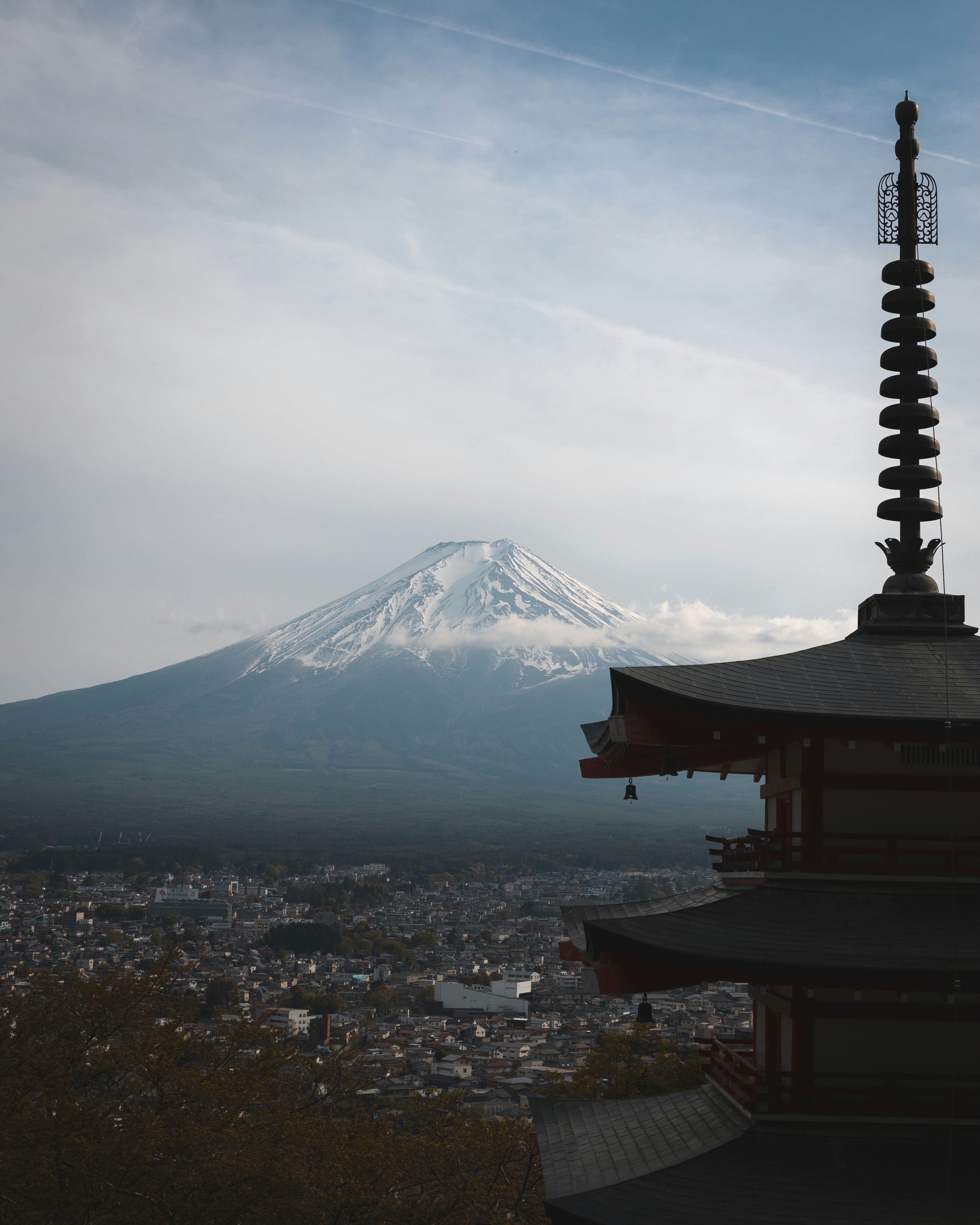 Photo by michael_surazhsky