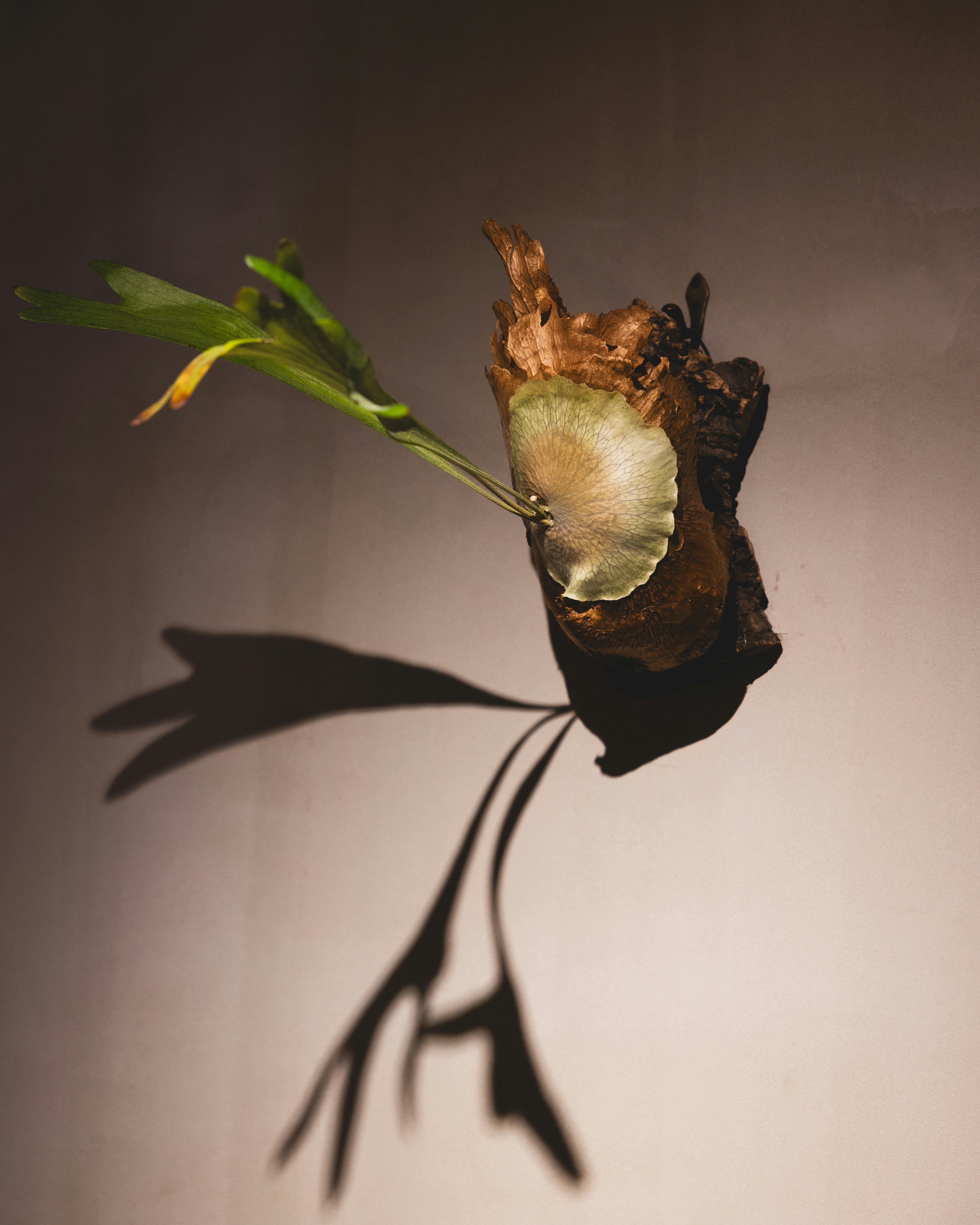 Photo by michael_surazhsky