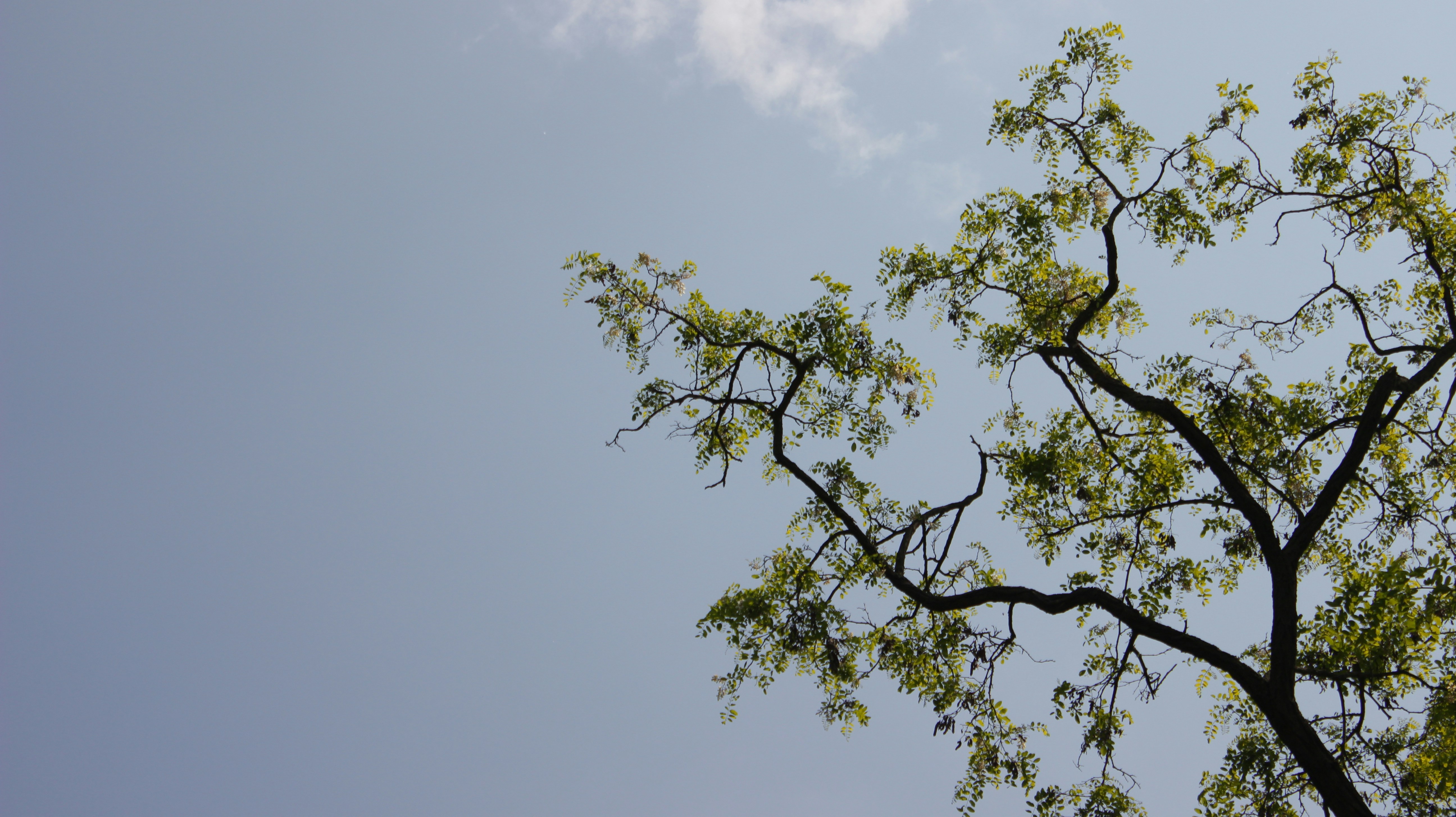 Photo by ka_teruunaa