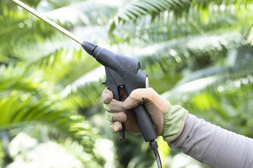 Technician performing termite soil treatment with professional spraying equipment