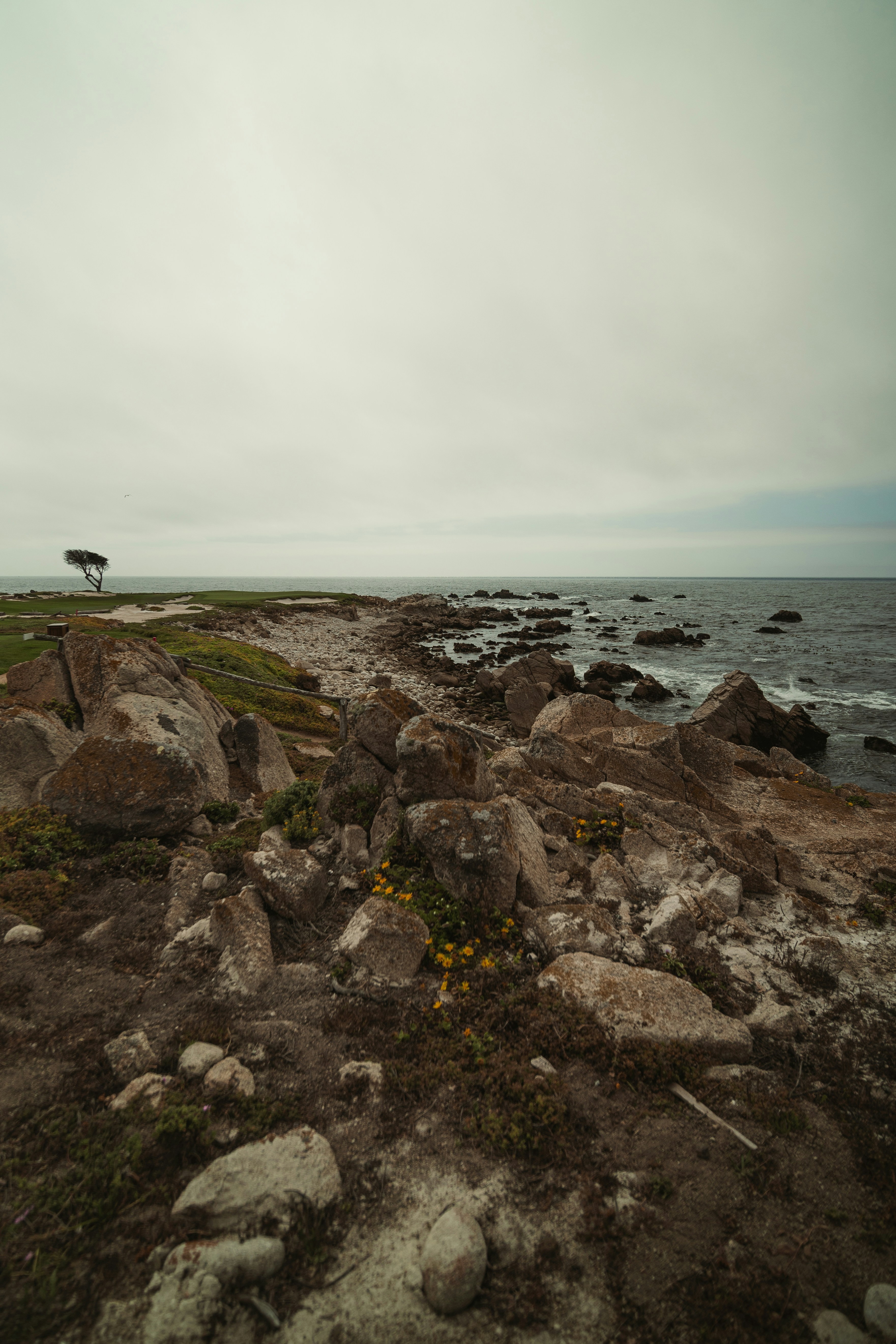 Monterey travel photo