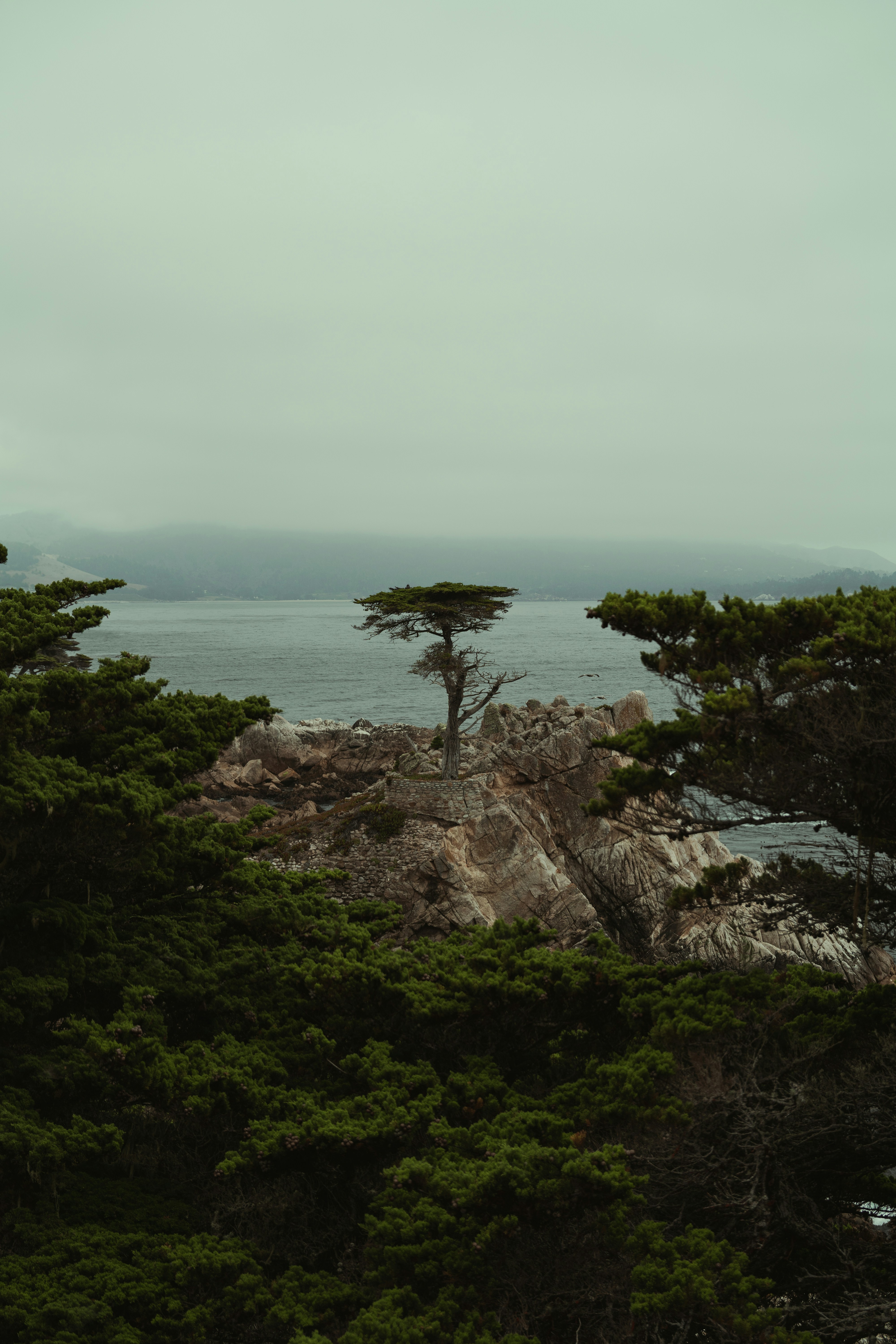 Monterey – Activities & Attractions