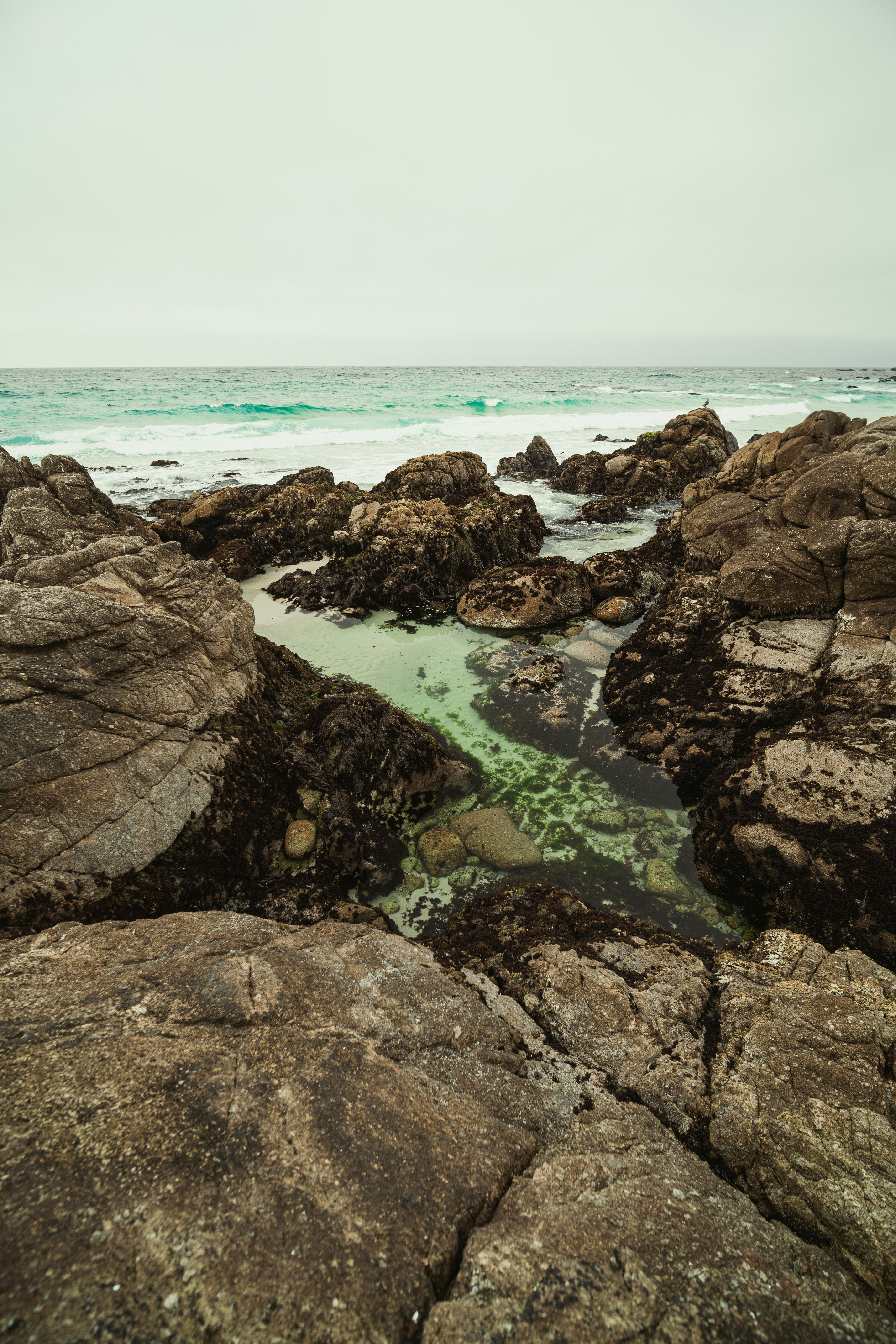 Monterey travel photo