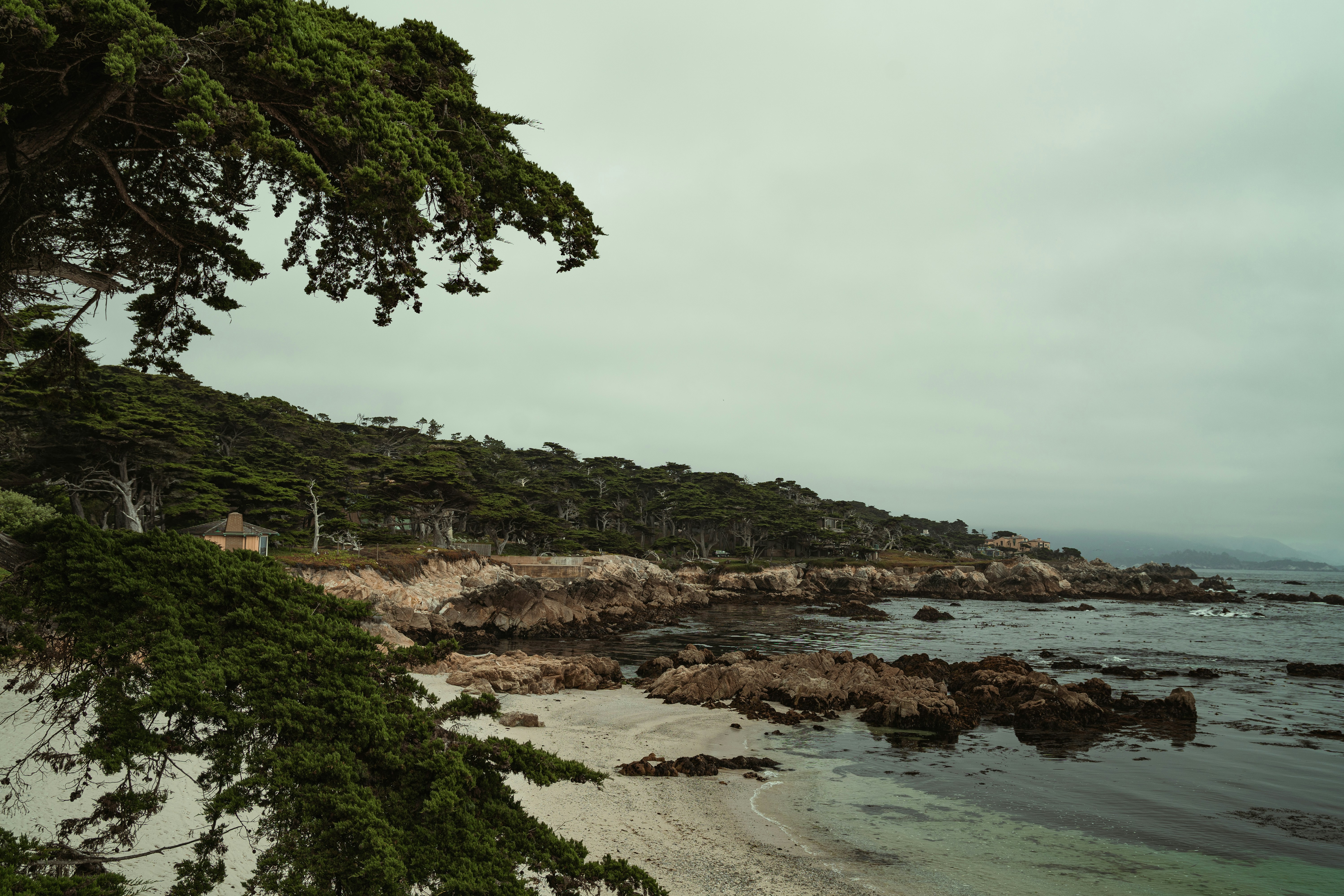 Monterey travel photo