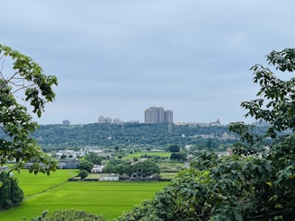 A green landscape with buildings in the distance.